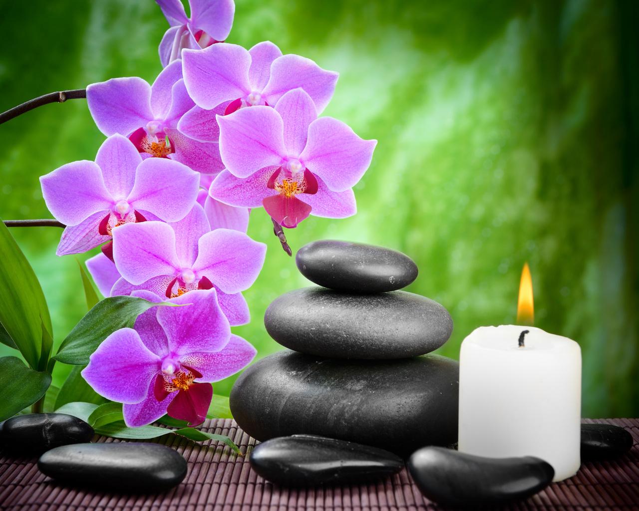 spa, black, bamboo, massage, orchid, stones, flower