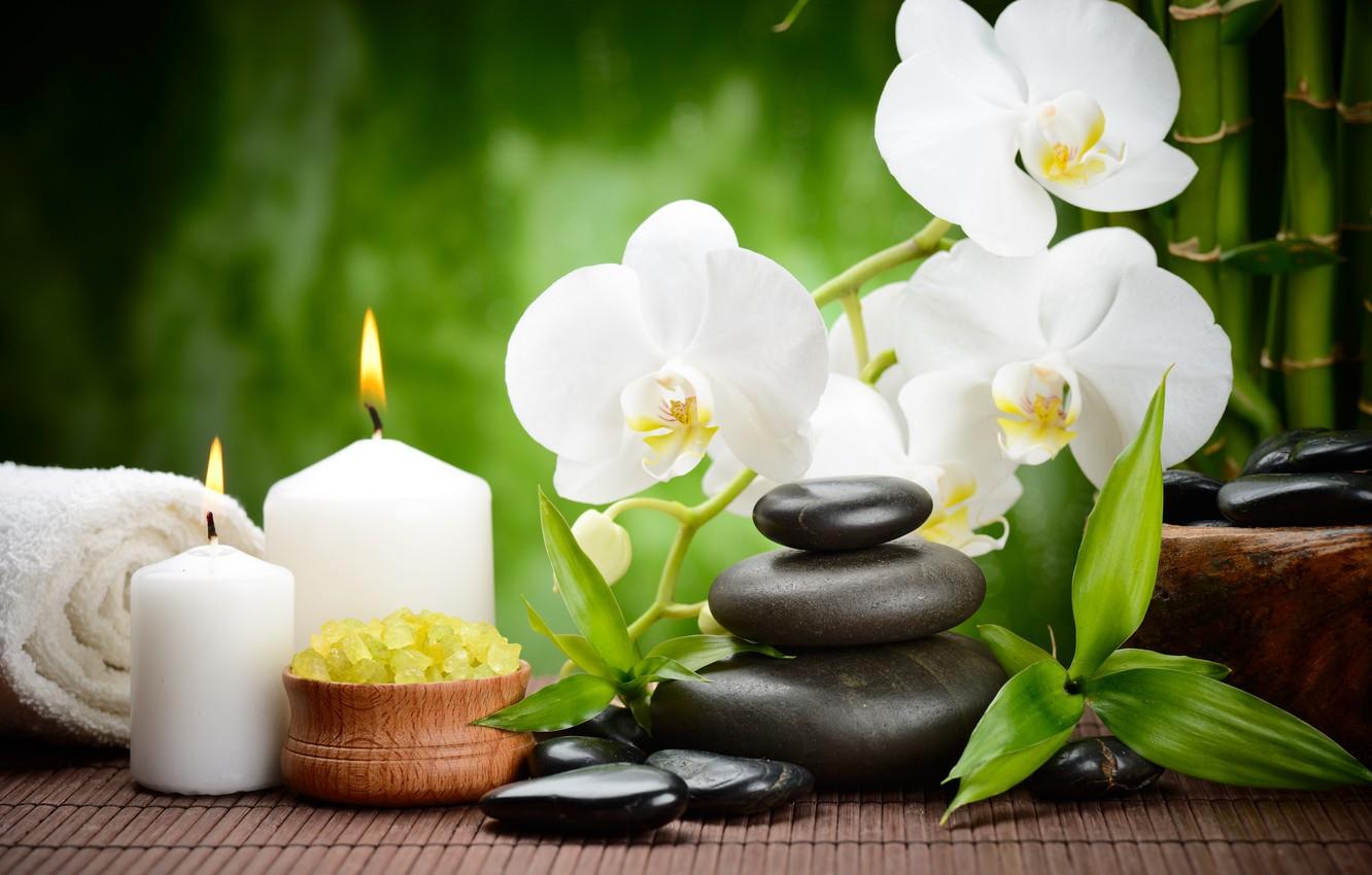Wallpaper flower, stones, candles, bamboo, black, Orchid, flowers
