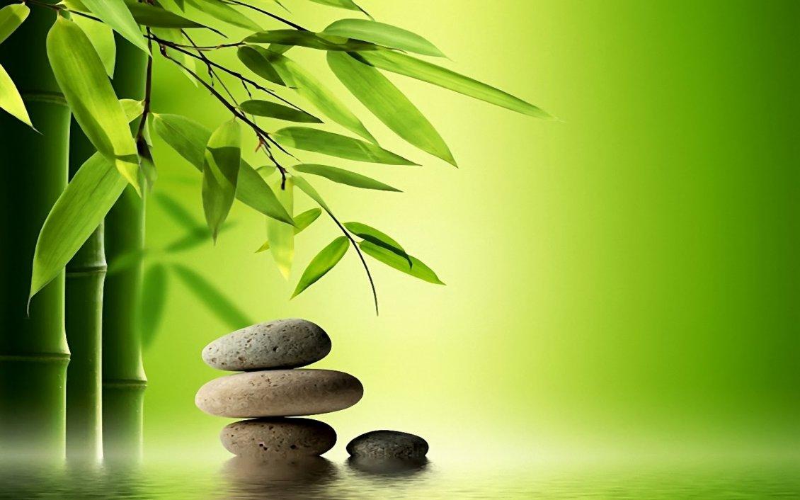 Bamboo tree and special rocks for massage