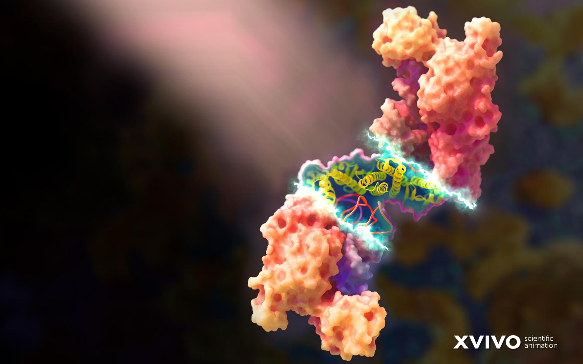 Beautiful Free Medical Illustration Computer Wallpaper