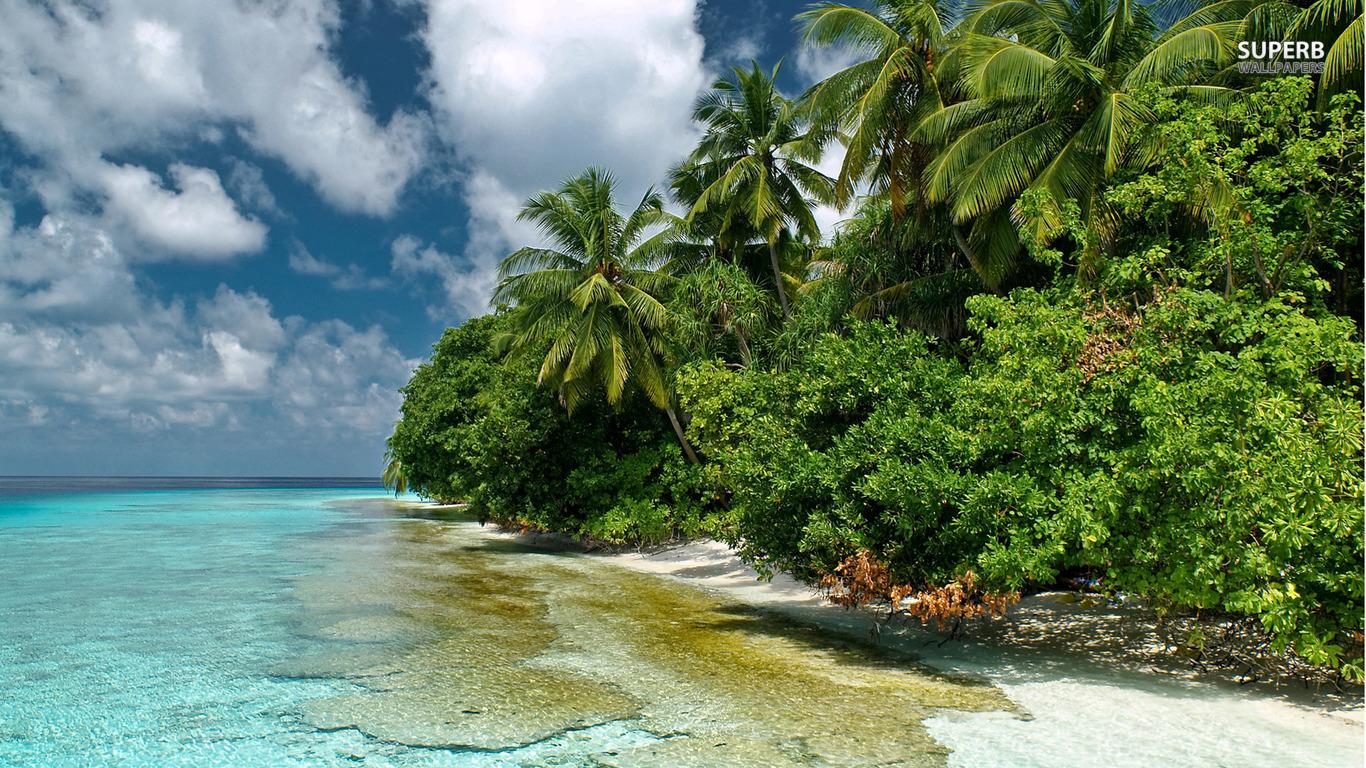 Essence Of Summer Wallpapers - Wallpaper Cave