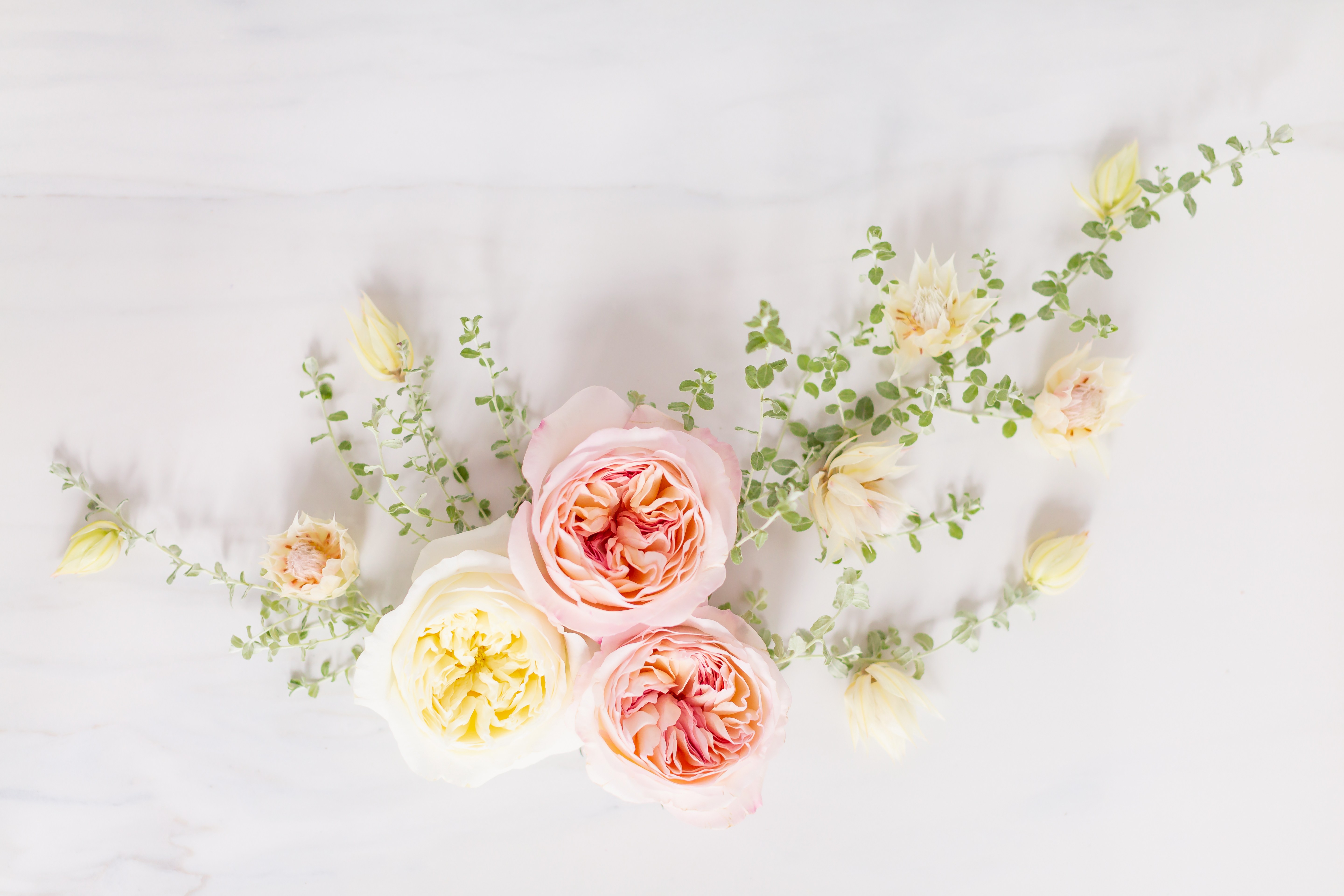 DIGITAL BLOOMS MAY 2019. FREE DESKTOP WALLPAPER