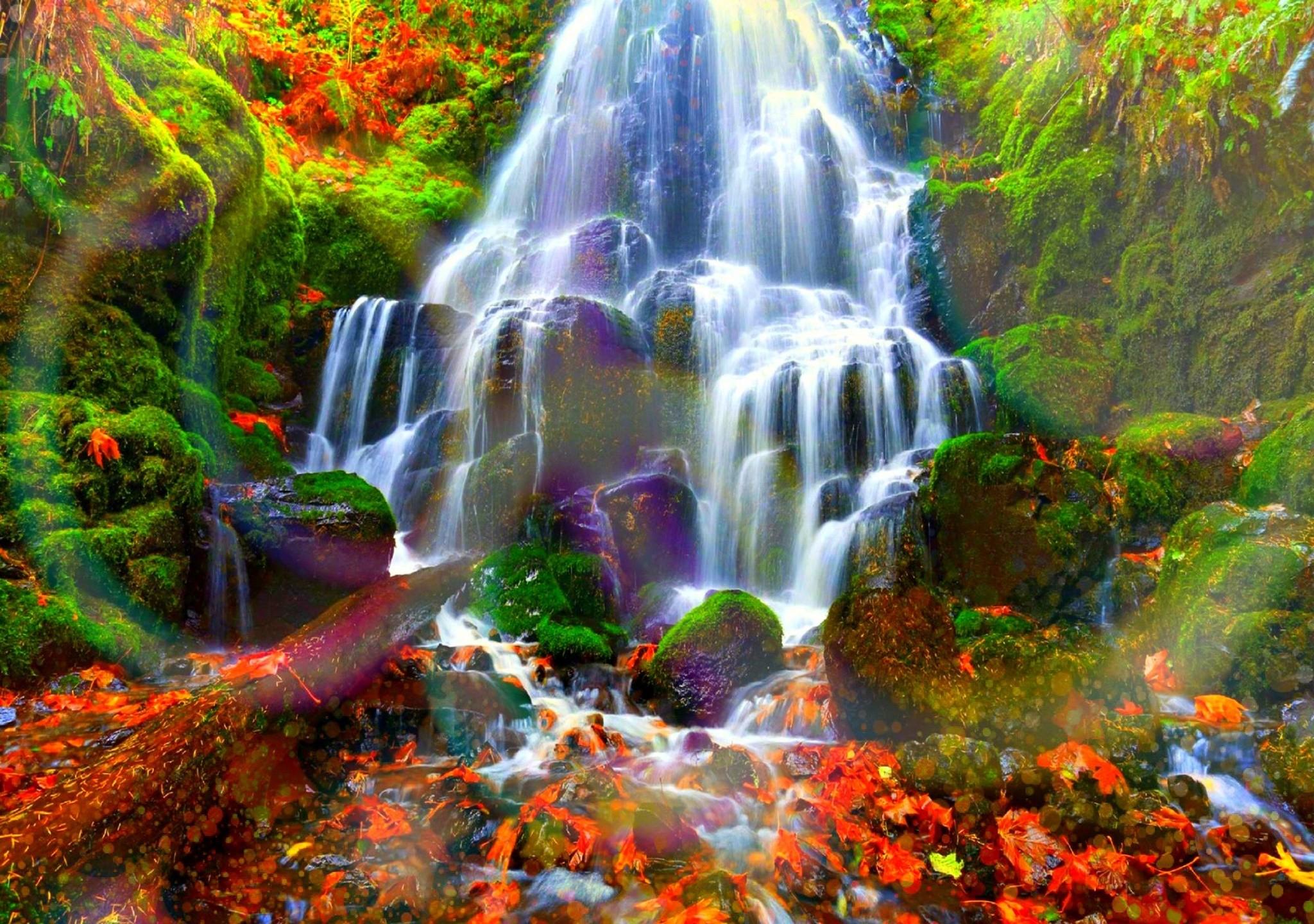 Autumn Forest Water Cascades HD Wallpaper. Background Image