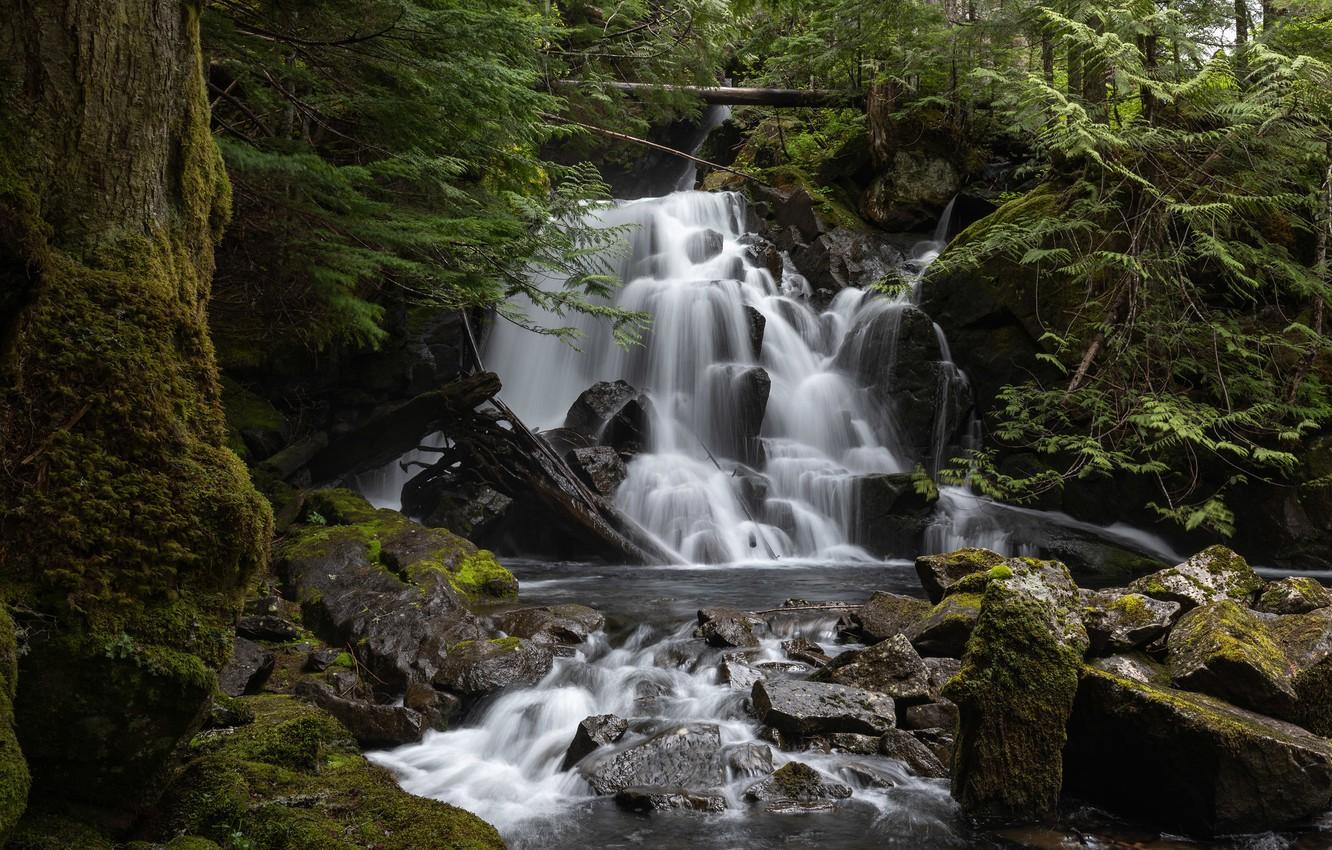 Wallpaper forest, waterfall, cascade, Washington, Washington State