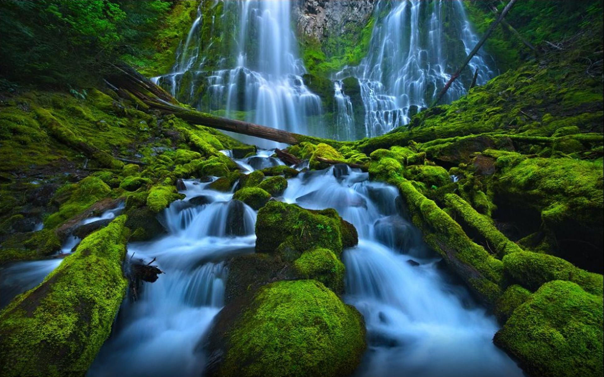 Beautiful Waterfall Rocks Green Moss Proxy Falls Eugene Cascades