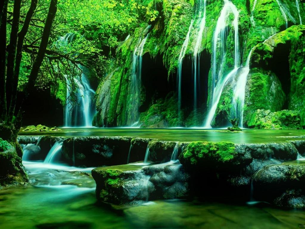 Waterfalls: Green Waterfall Beautiful Forest Cascades Fall Trees
