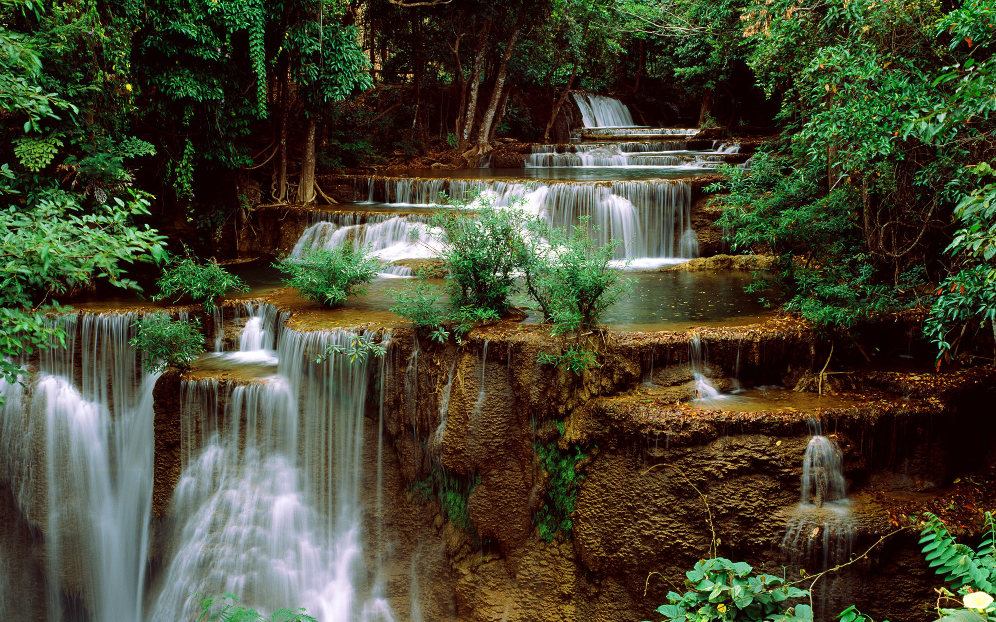 Green Cascade Waterfall Green Forest 4K wallpaper