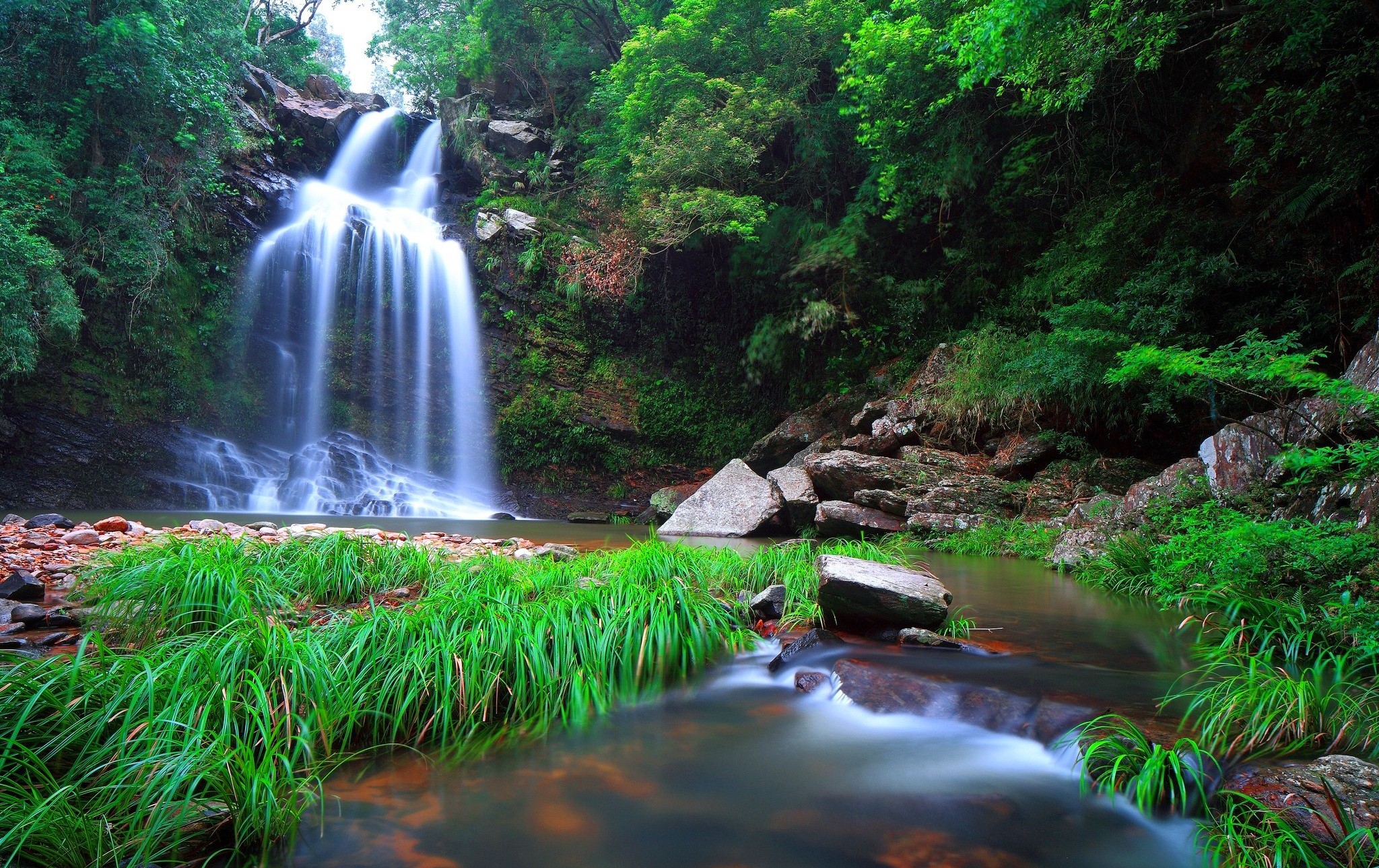 Waterfalls: Forest Rocks Cascades Waterfall Fall Water Leaves Place