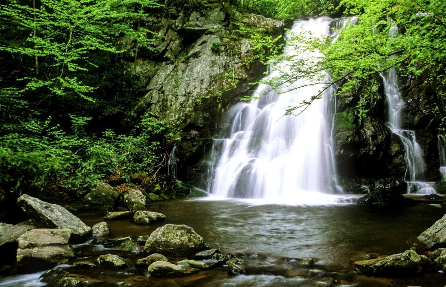 Small forest waterfall wallpaper Nature wallpaper 13325. Forest