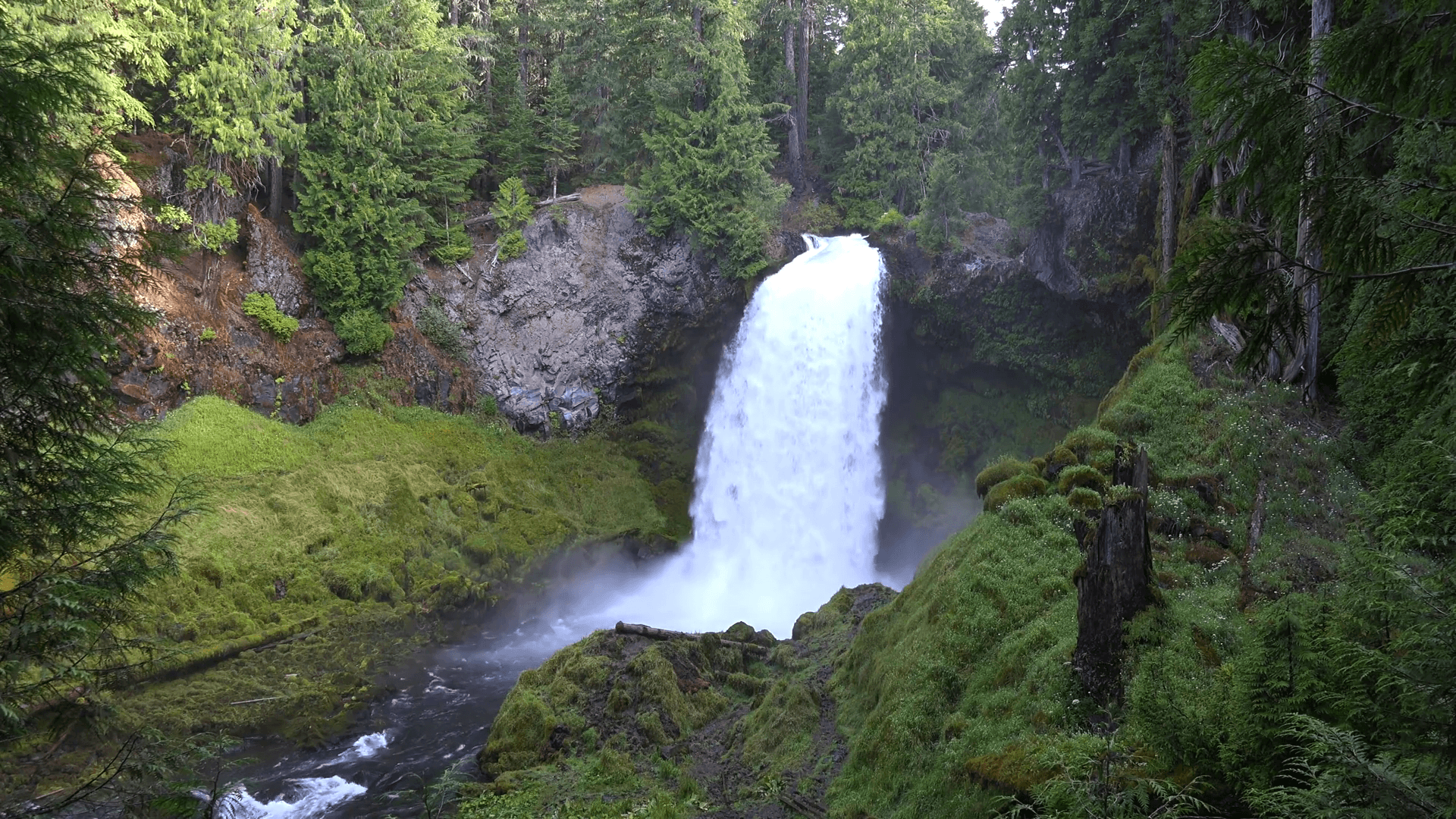 Powerful waterfall river stream in evergreen deep forest Cascades