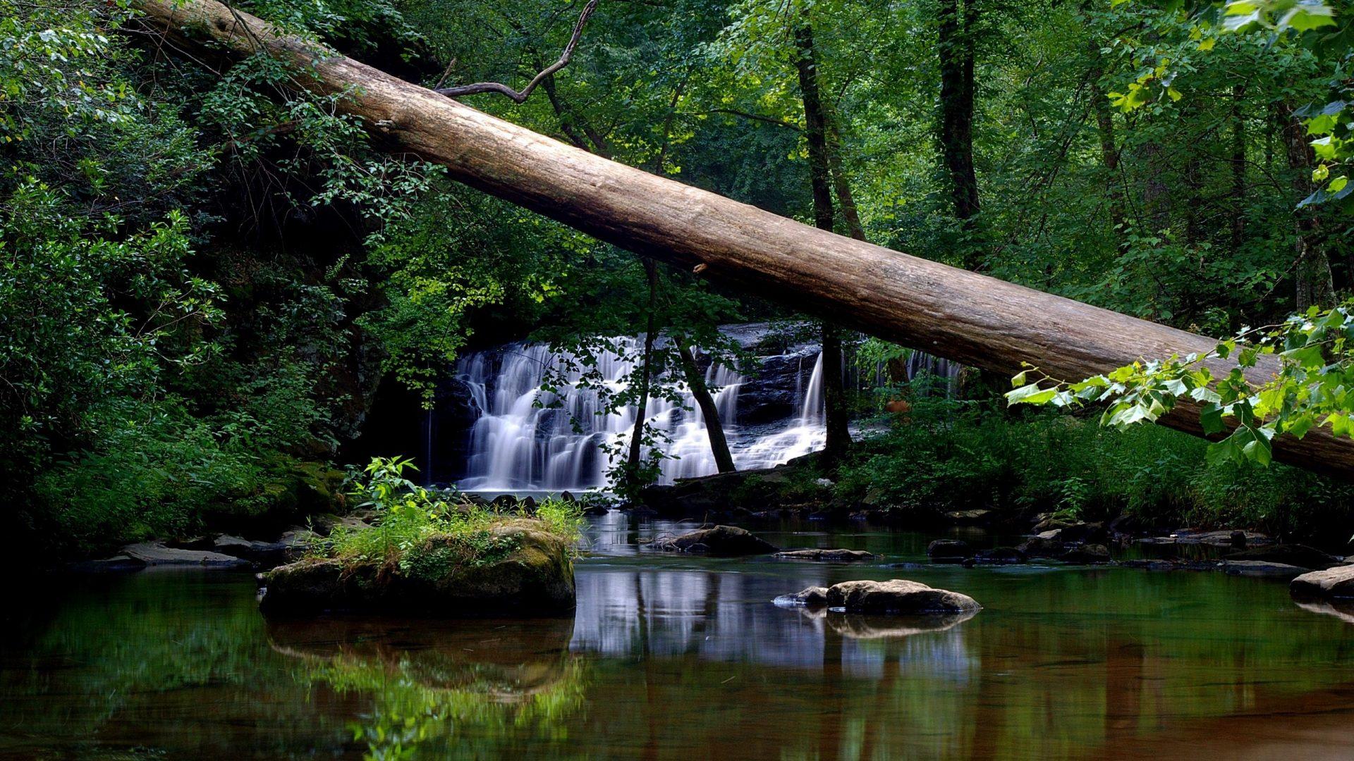 Waterfalls wallpaper: River Waterfall Forest Nature Desktop
