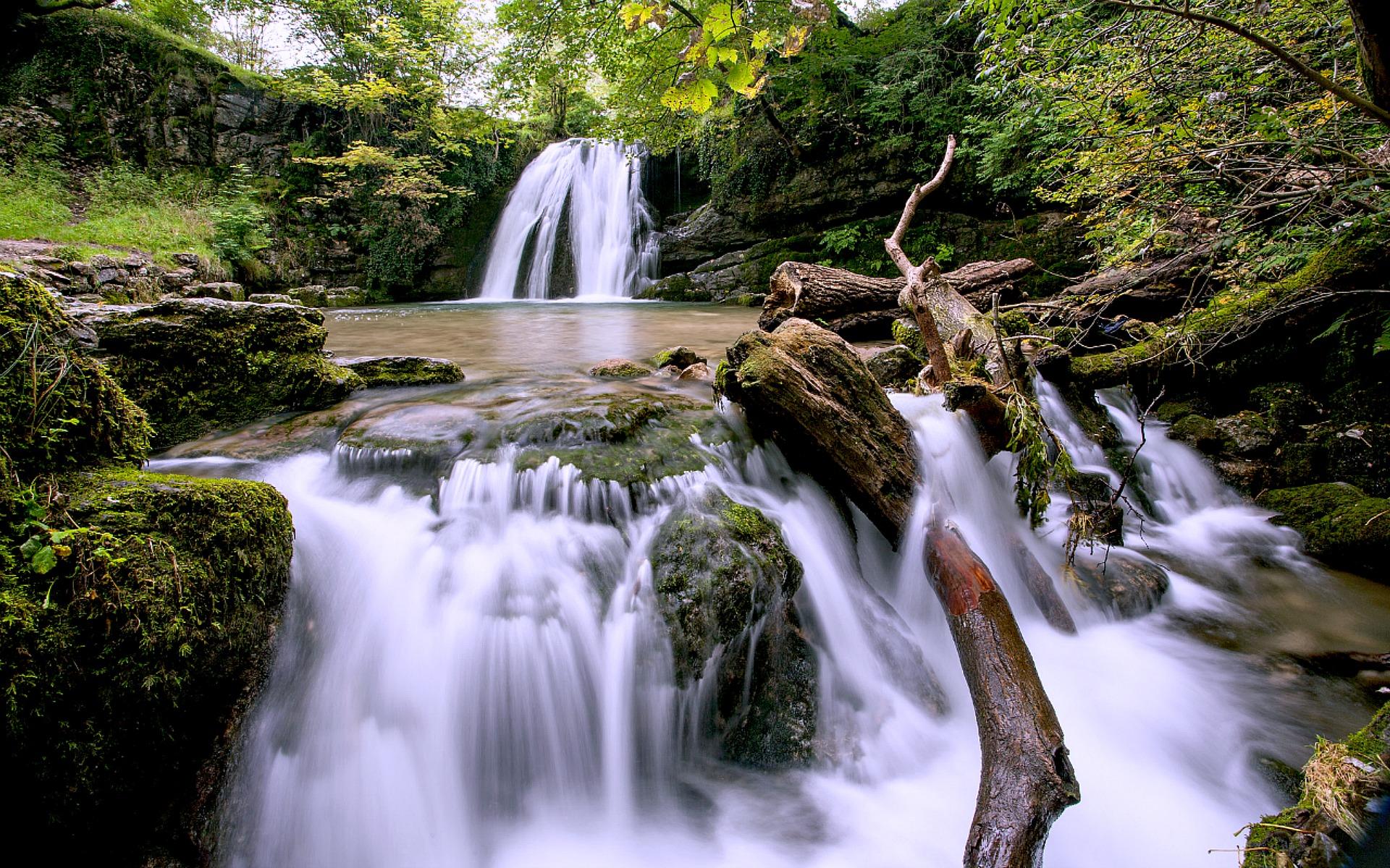 Forest Waterfall Wallpaper