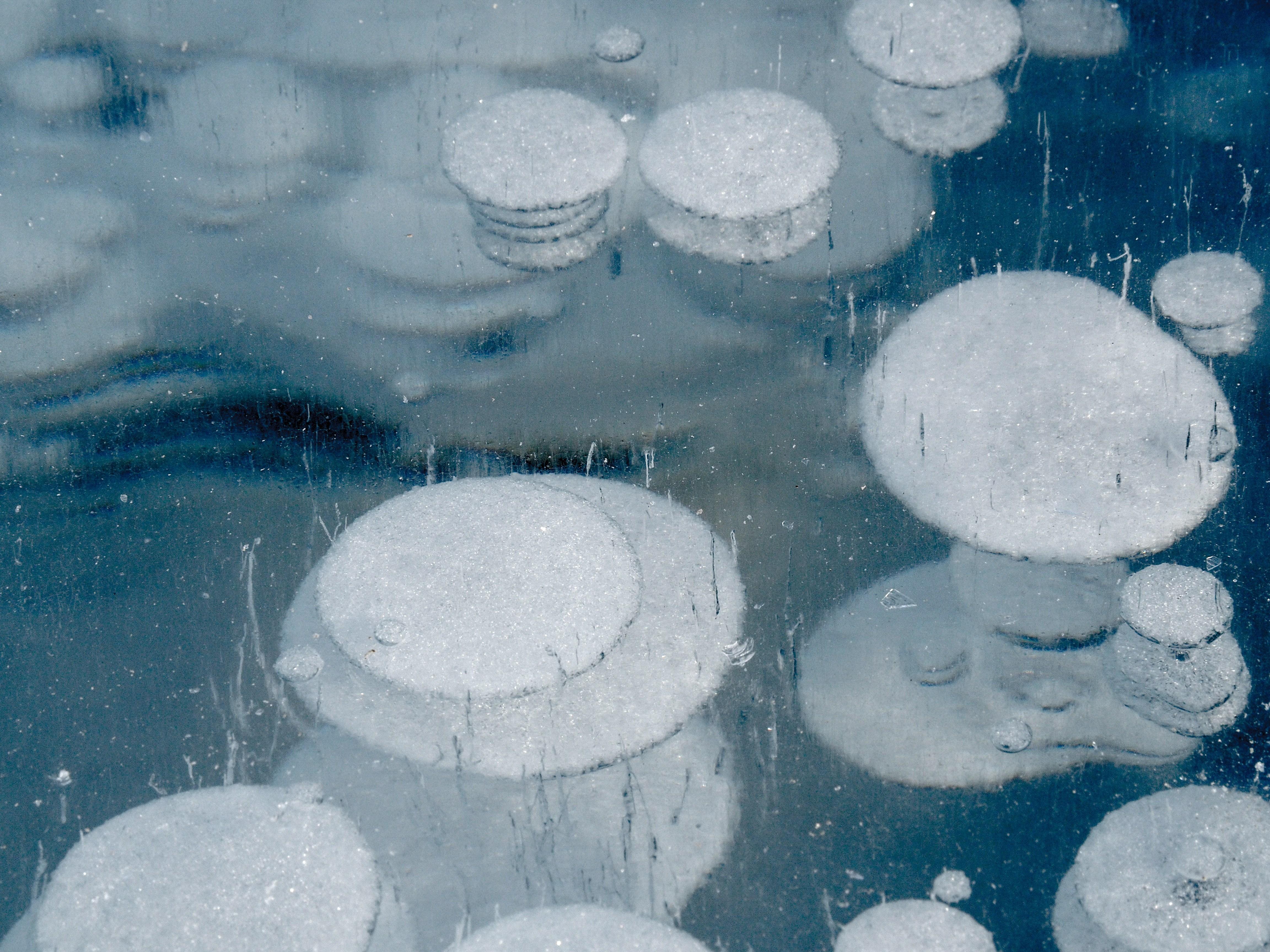 A day trip to Abraham Lake.Frozen bubbles are calling's