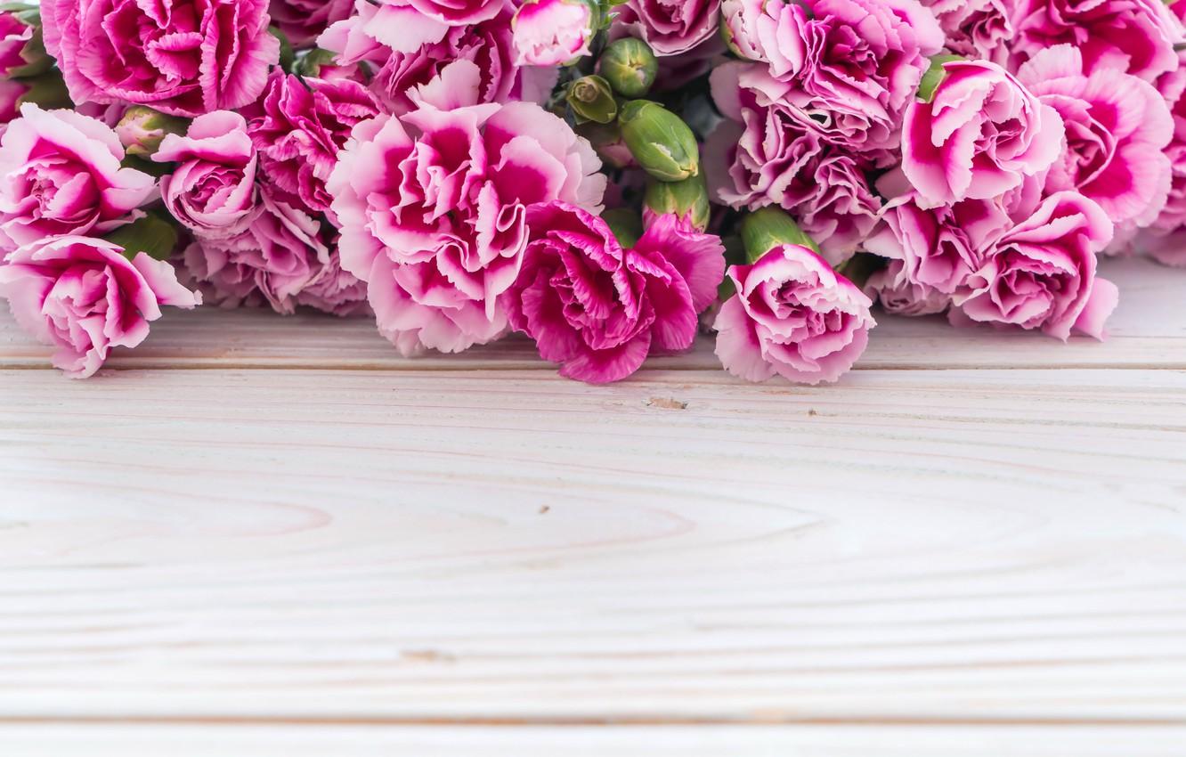 Wallpaper flowers, pink, wood, pink, carnation, flowers image