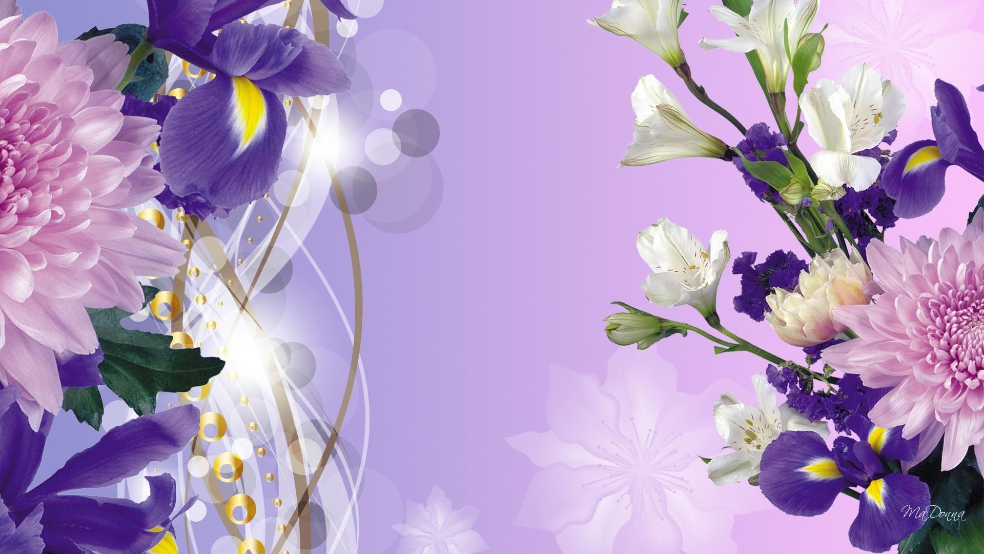 Purple iris spring wallpaper. PC