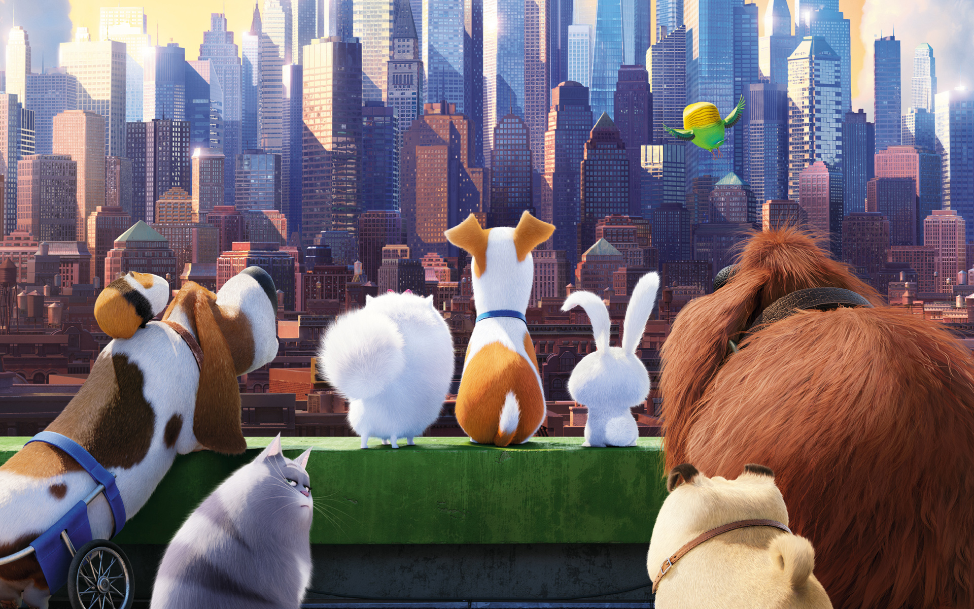 Wallpaper Blink Secret Life of Pets Wallpaper HD 2 X