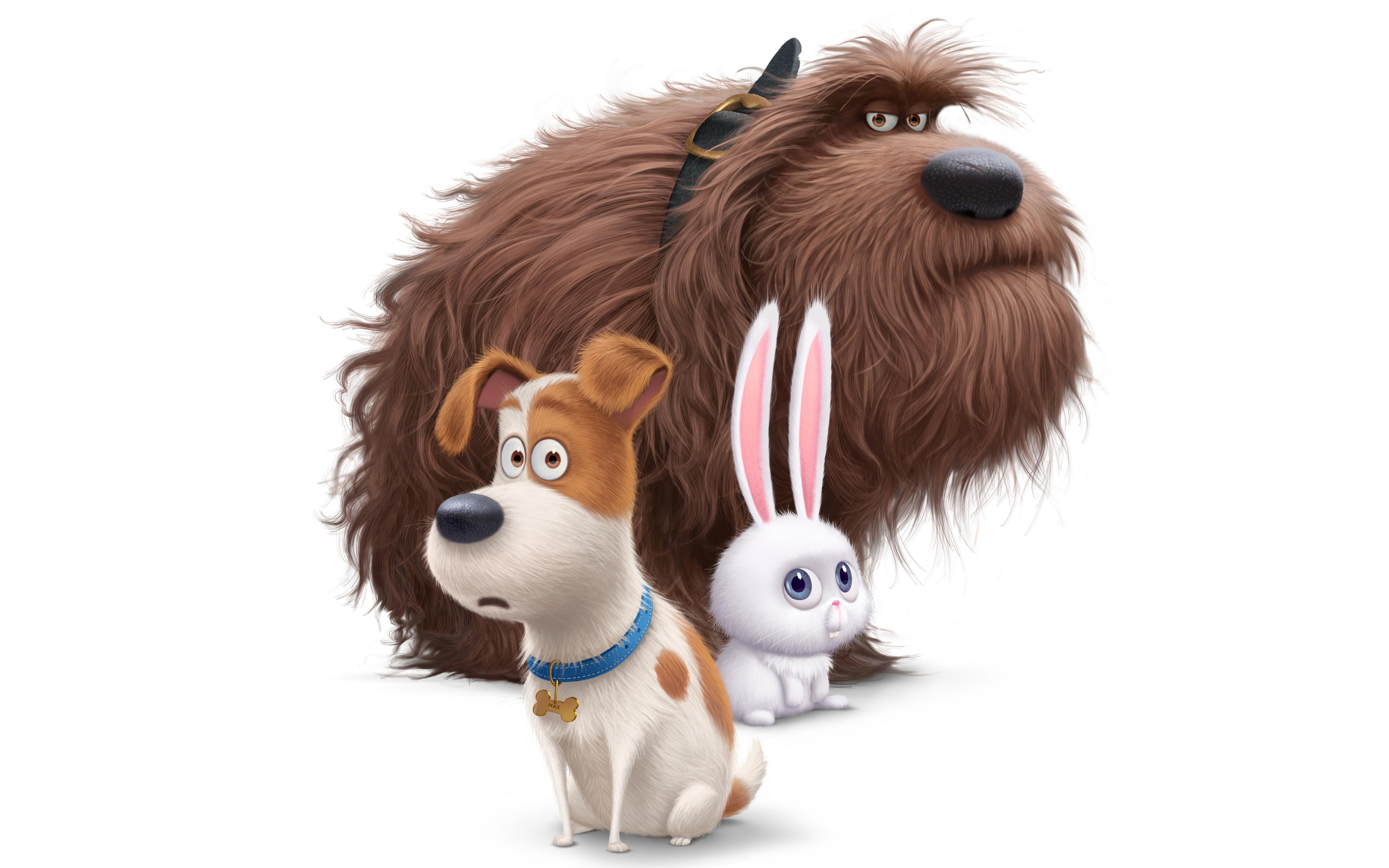 The Secret Life Of Pets Secret Life Of Pets Wallpaper