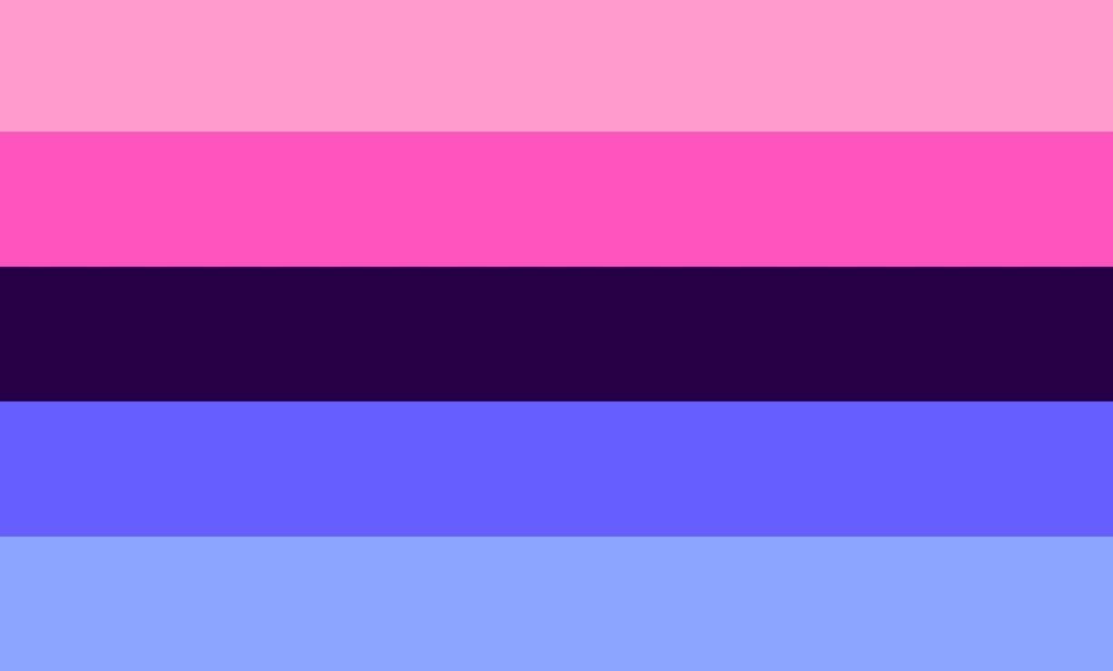 GenderFluid Flag LGBTQ Genderqueer Non Binary Poly House Banner