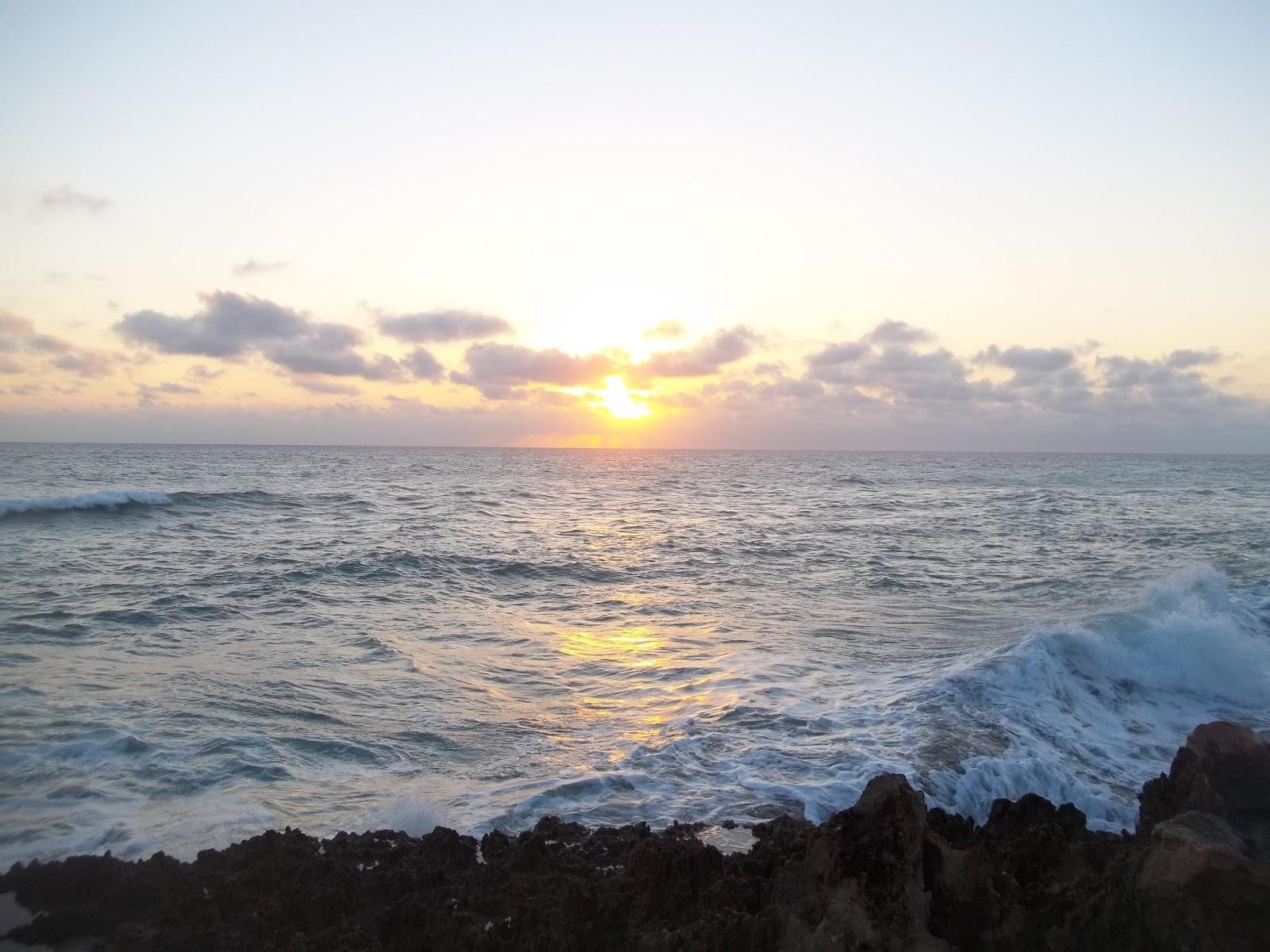 Precious Moments: Sweet Hour of Prayer