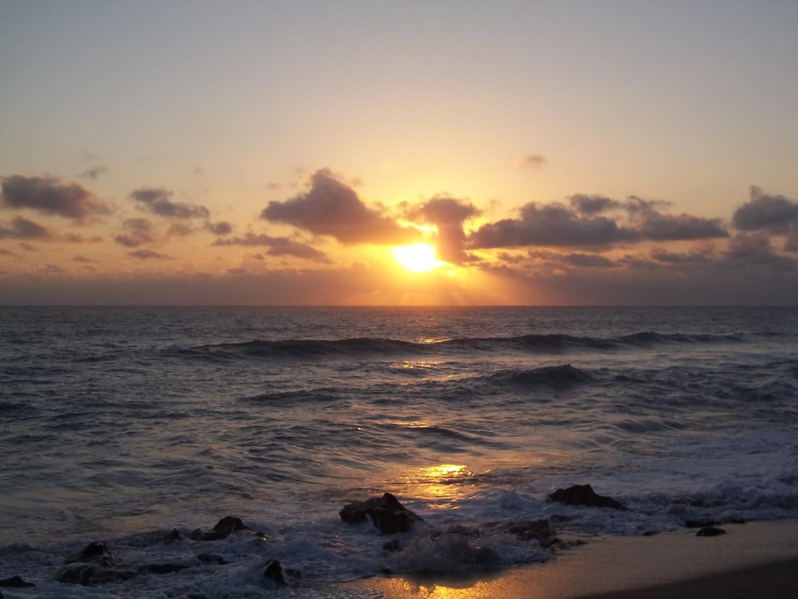 Precious Moments: Sweet Hour of Prayer