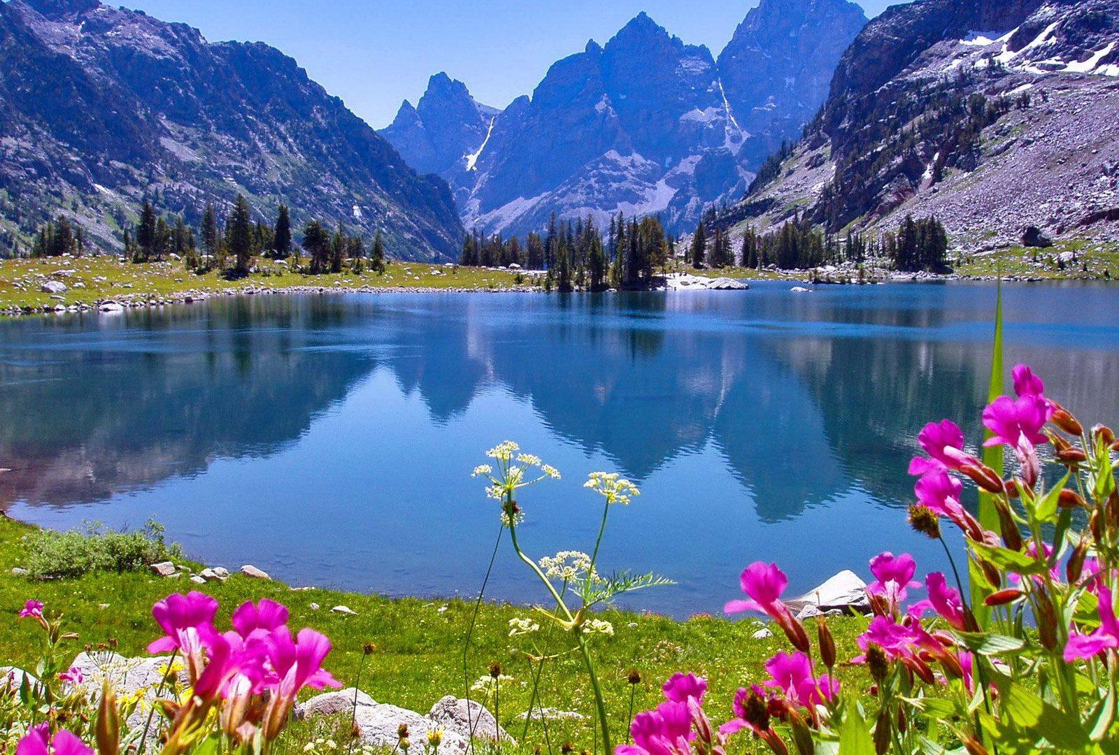 Lakes: Reflection Summer Mountain Flowers Rocks Nice Paradise Grass