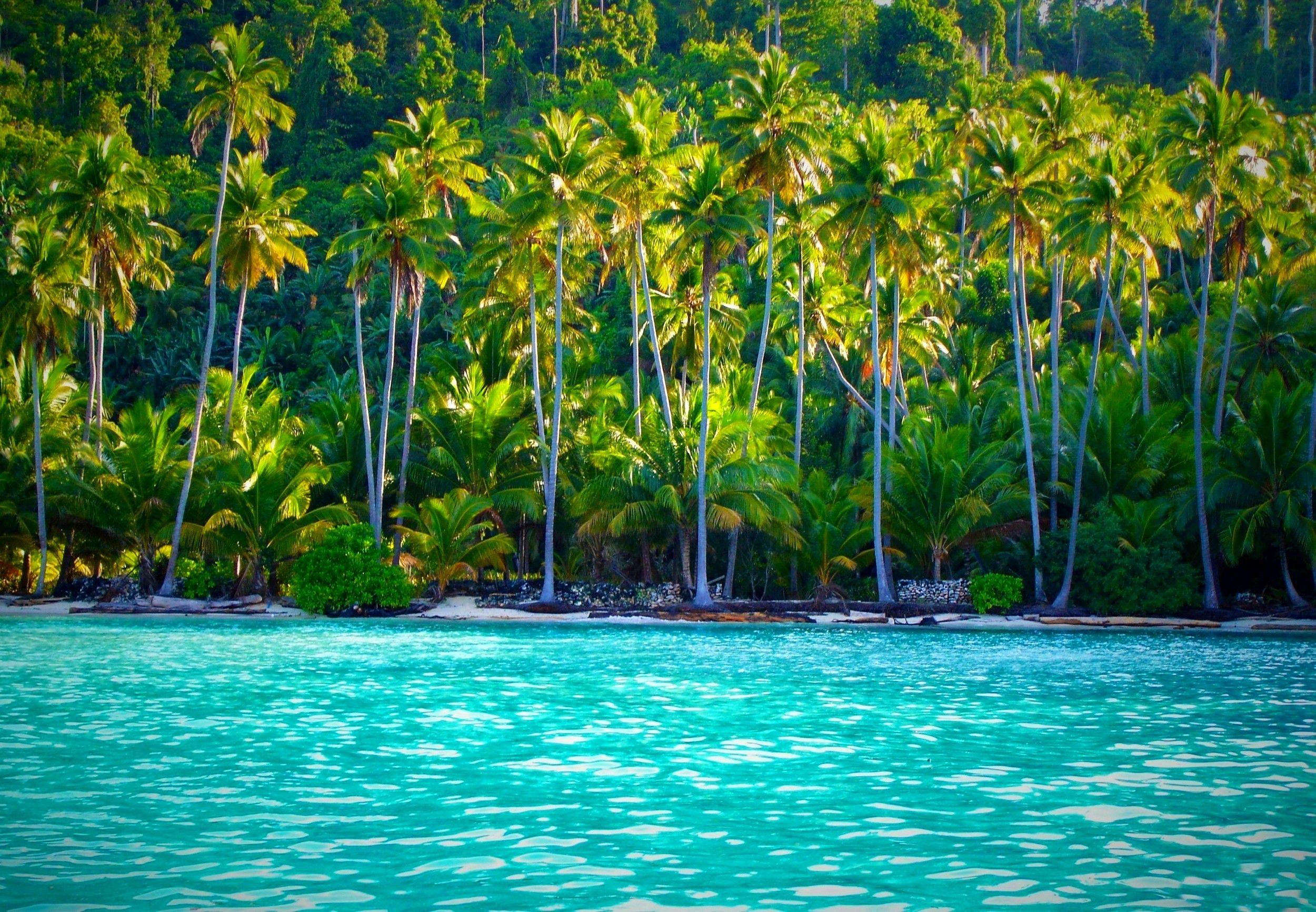 Tropical Island Paradise Wallpaper