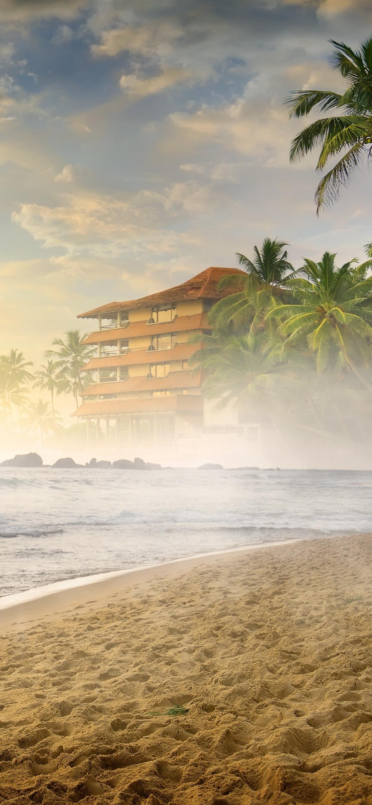 Beach, sea, sand, palm trees, fog, morning 1242x2688 iPhone XS Max
