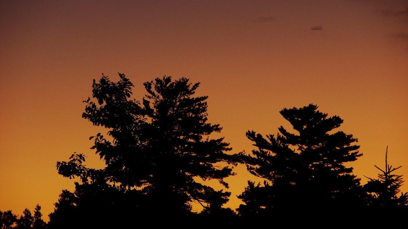 Sky: Morning Paradise Relaxing Sunrise Nature Early Picture for HD