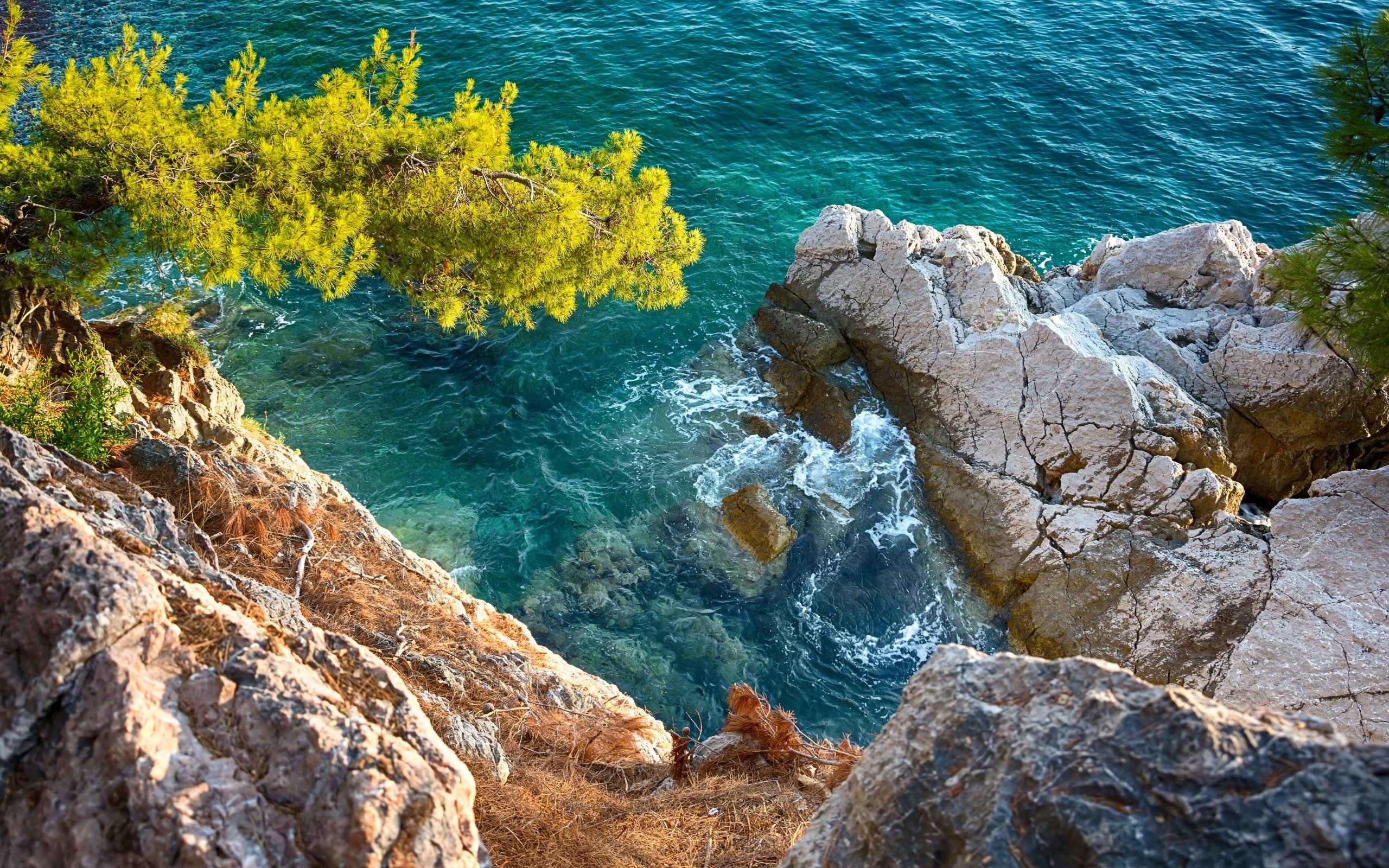 Download wallpaper sea, coast, view from the cliff, stones