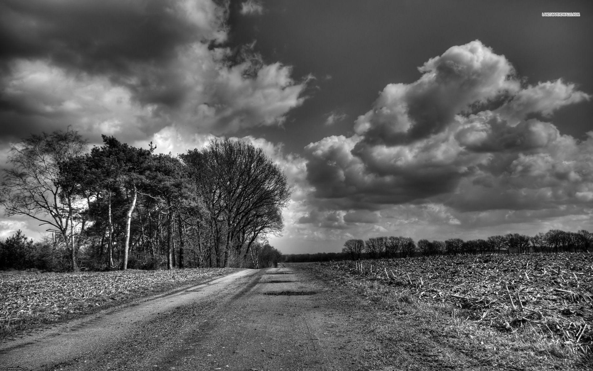 Country Road Black And White. Road Path Trail Concepts