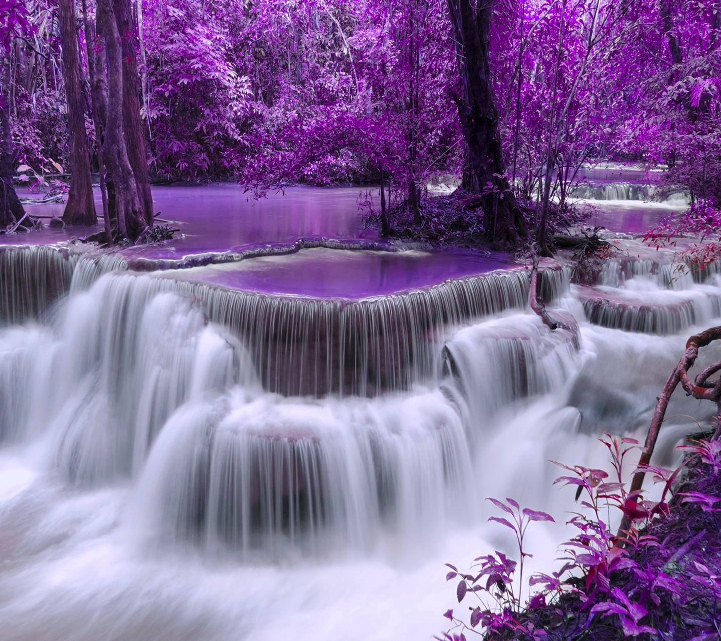 Forests: Purple Forest Wallpaer White Water Trees Nature Beauty