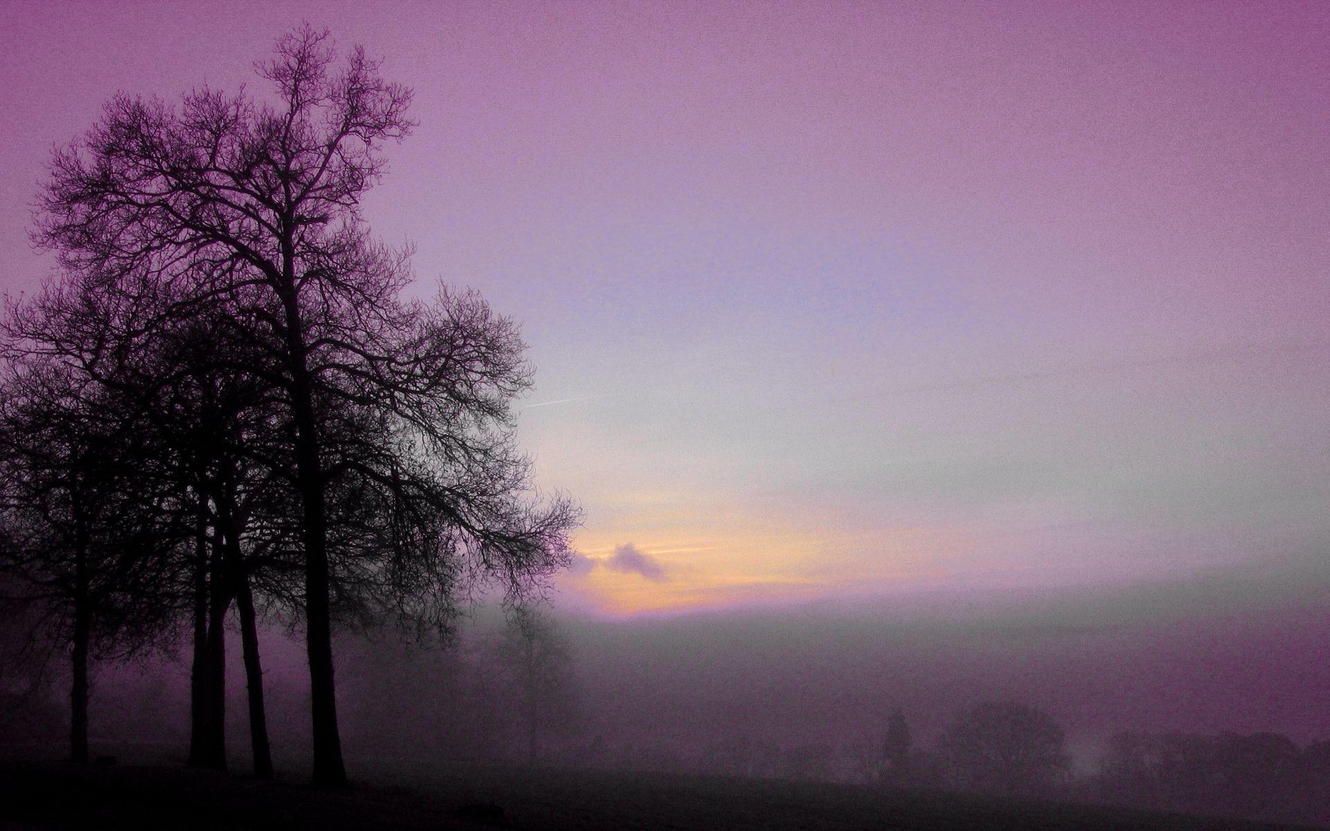 Purple morning, amazing, awesome, beautiful, beauty, Blue, calming