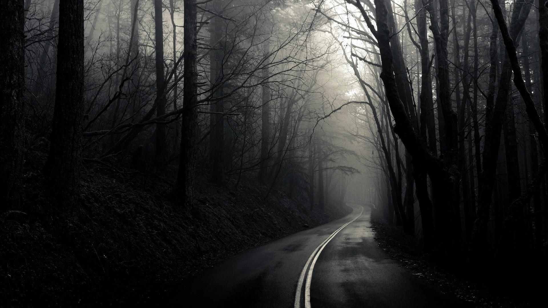 Dark forest mist roads Wallpaper