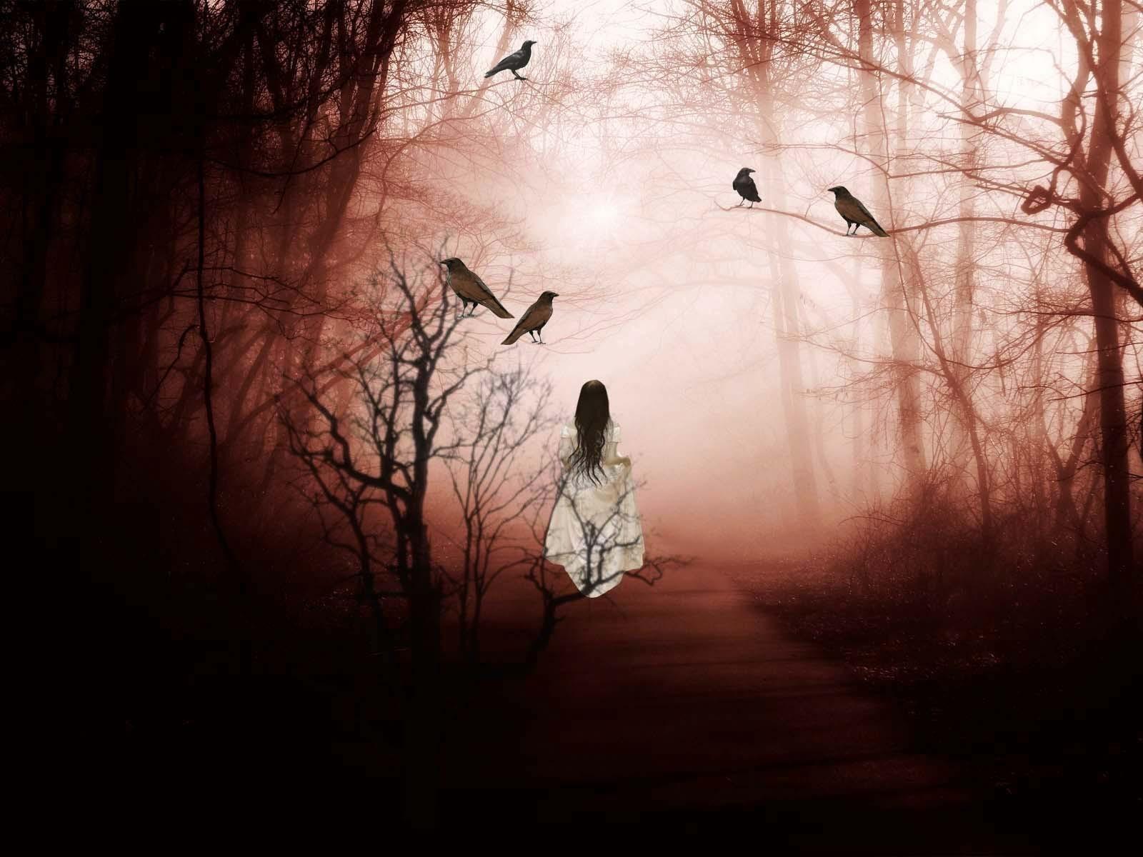 Secrets of the mist wallpaper. PC