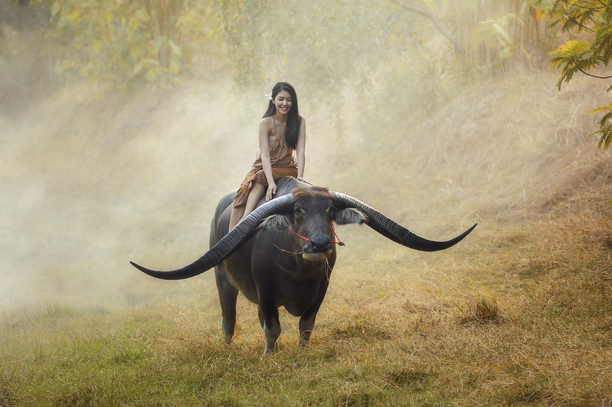 #mist, #women, #animals, wallpaper