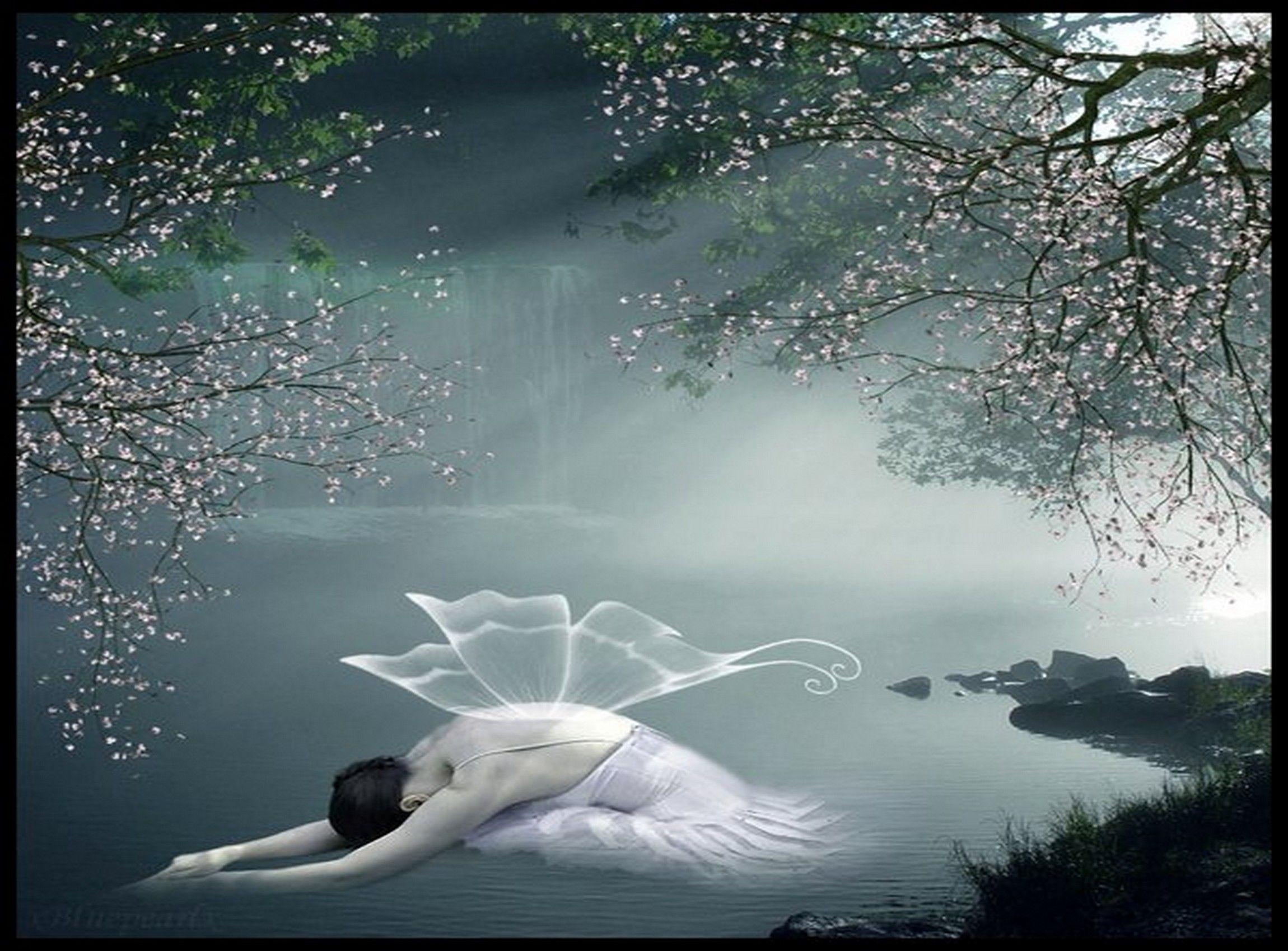 Dying Butterfly, bank, blossoms, butterflie, butterfly, dying