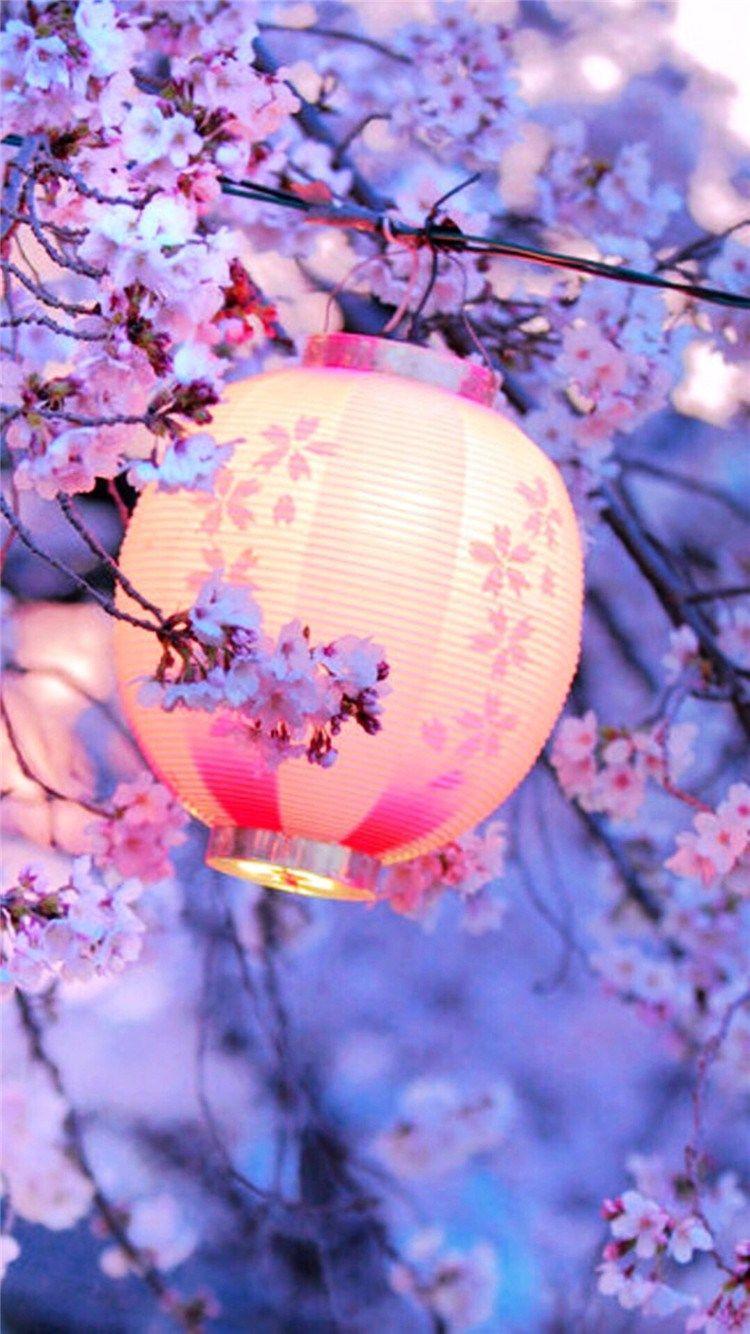 Night Lantern Flower Trees #iPhone #plus #wallpaper. Hanami, Blossom, Cherry blossom