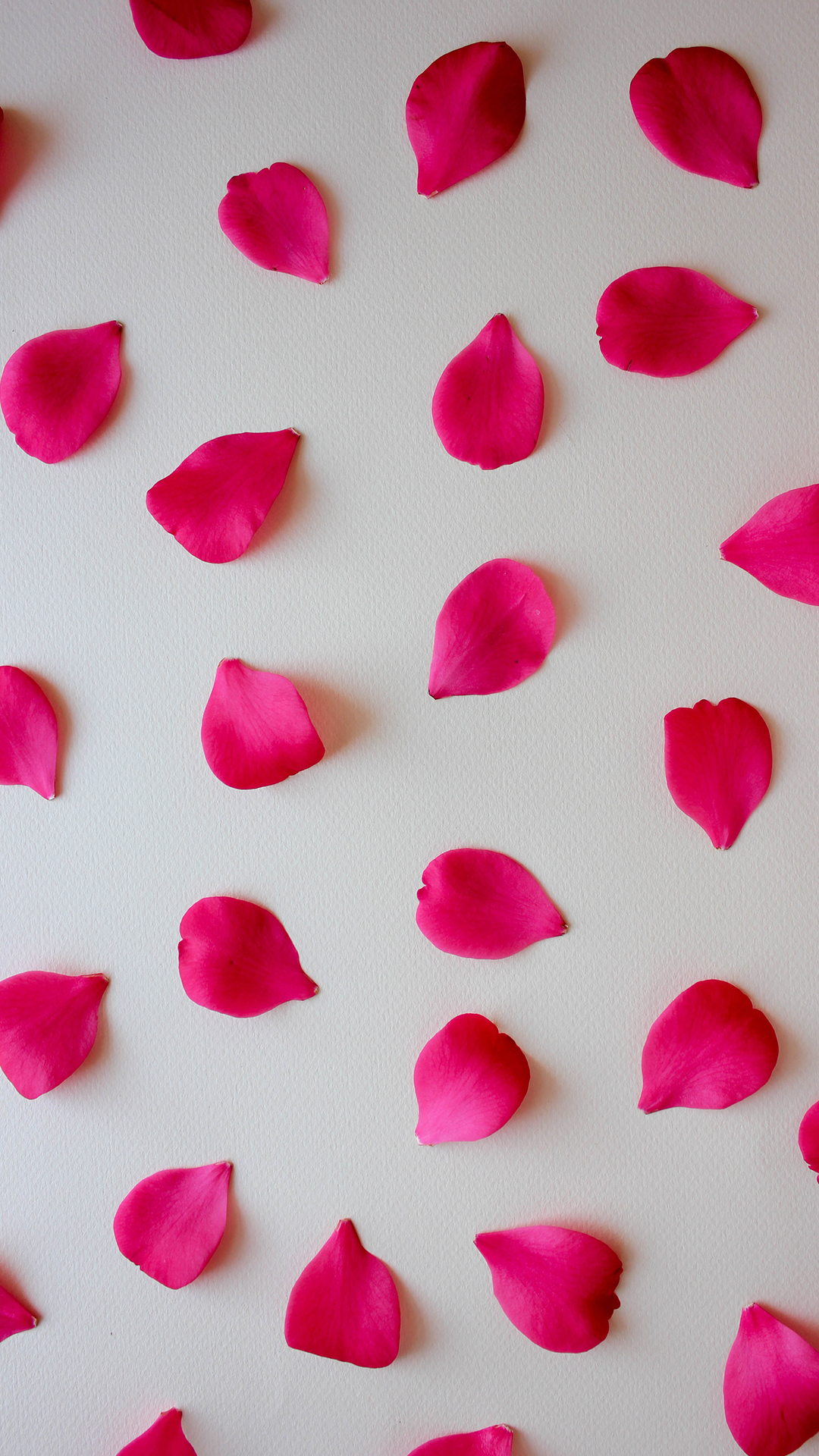 Rose Petals HD Wallpaper For Your Mobile Phone