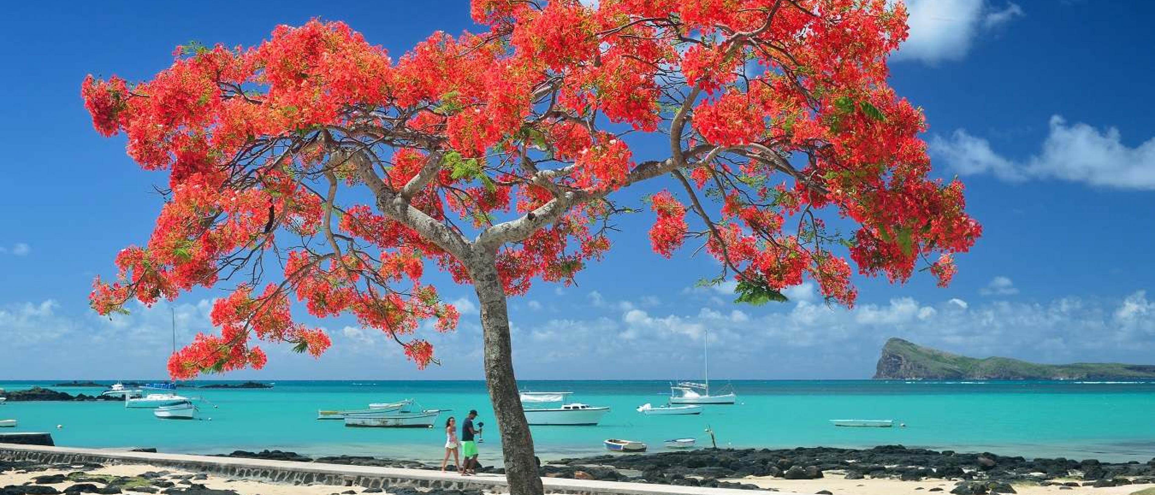 Visit the island of Mauritius Mauritius tourism website