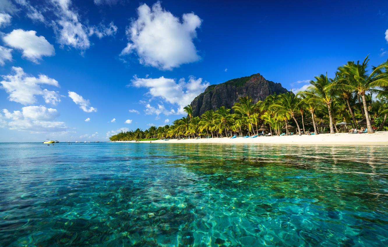 Wallpaper rock, palm trees, the ocean, coast, boats, The Indian