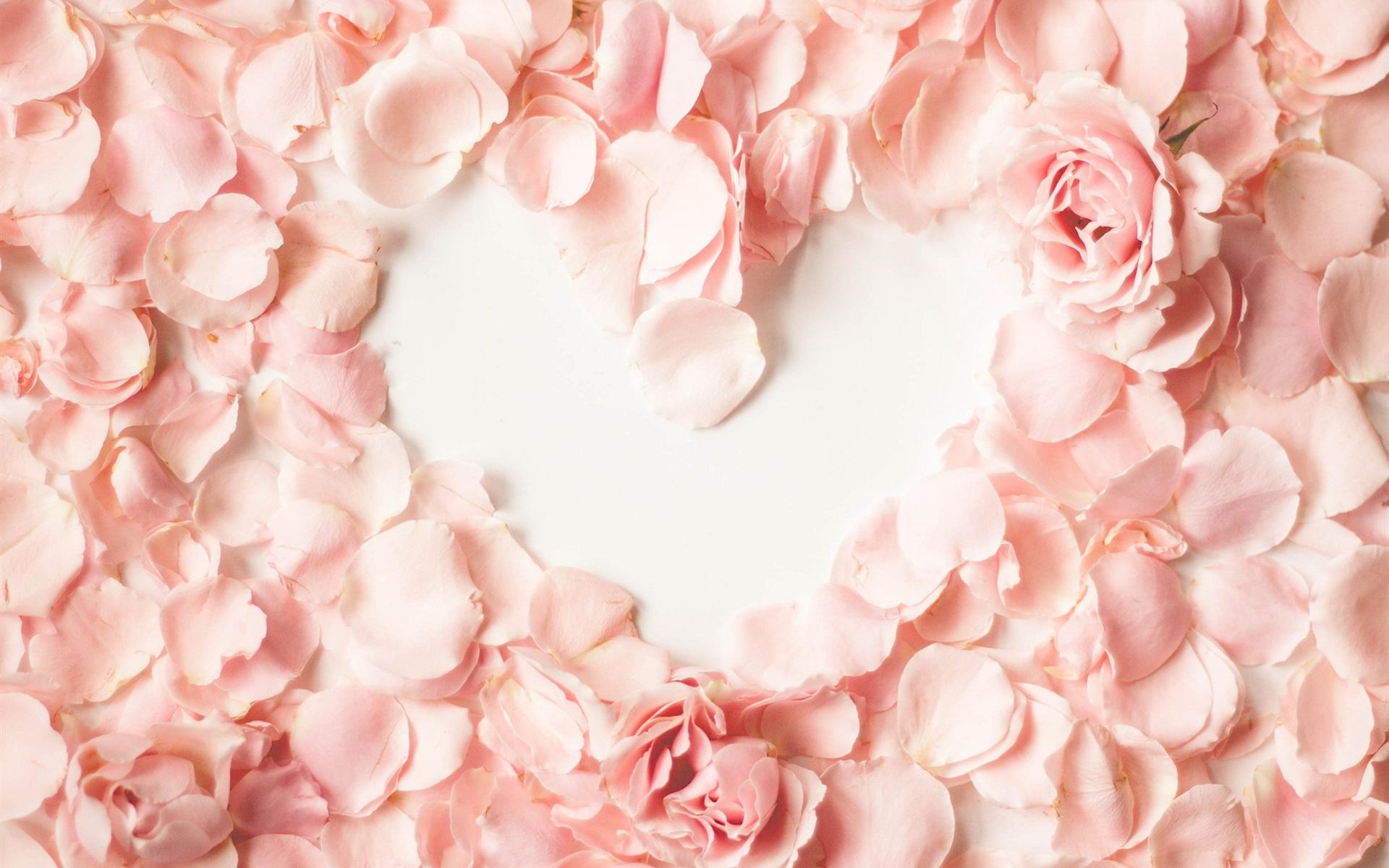 Wallpaper Pink petals, rose, love heart 1920x1200 HD Picture, Image