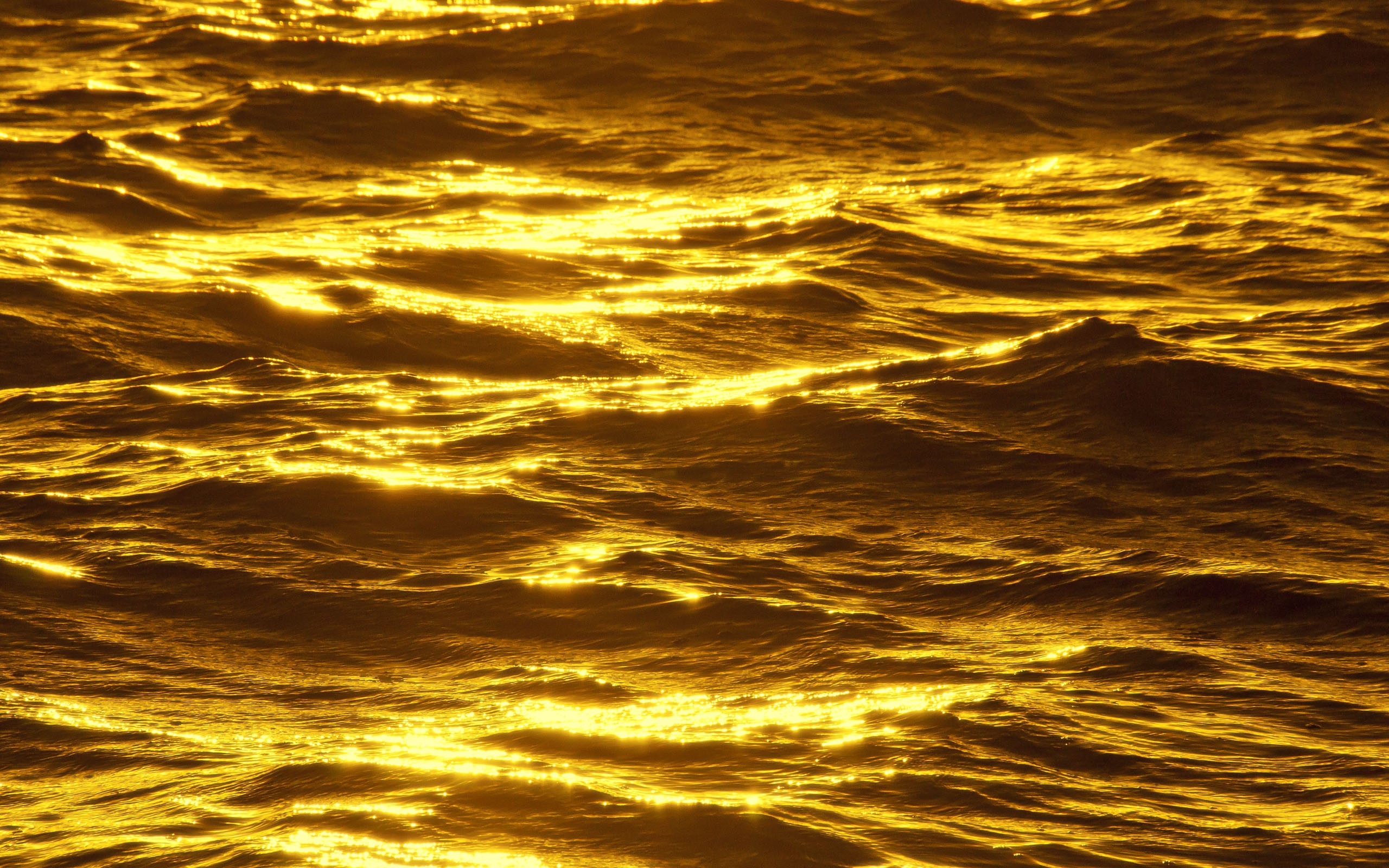 Golden sea wallpaper. PC