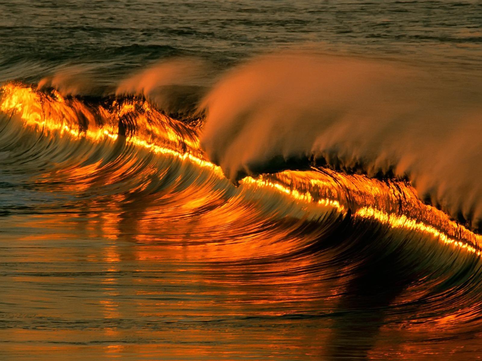 Golden Wave Wallpaper Other Nature Wallpaper in jpg format for free