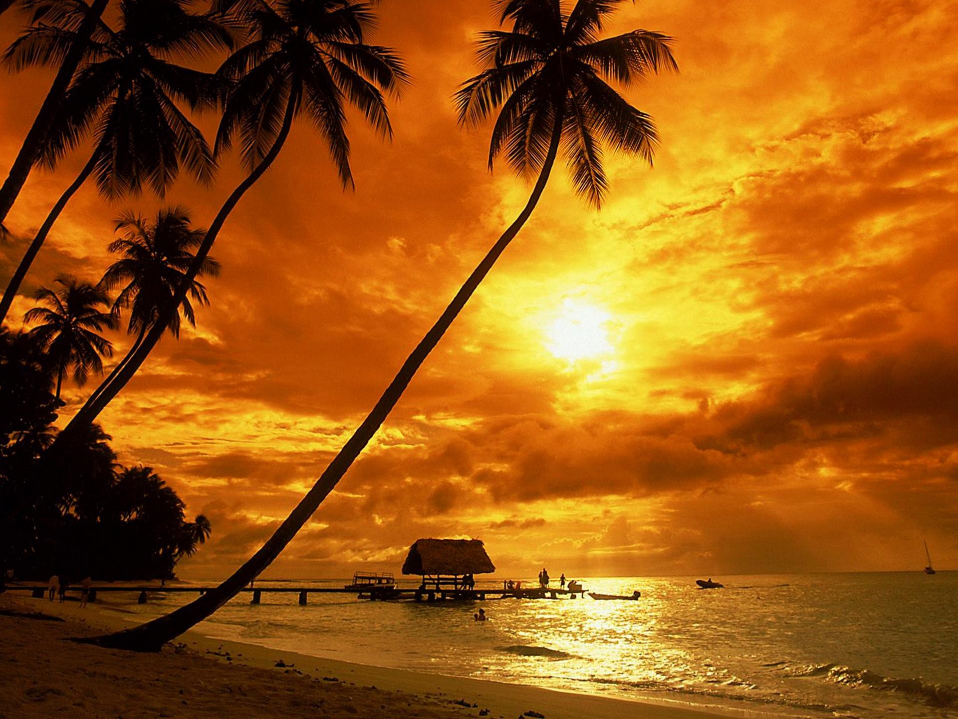 Beach Sunset Wallpaper background picture