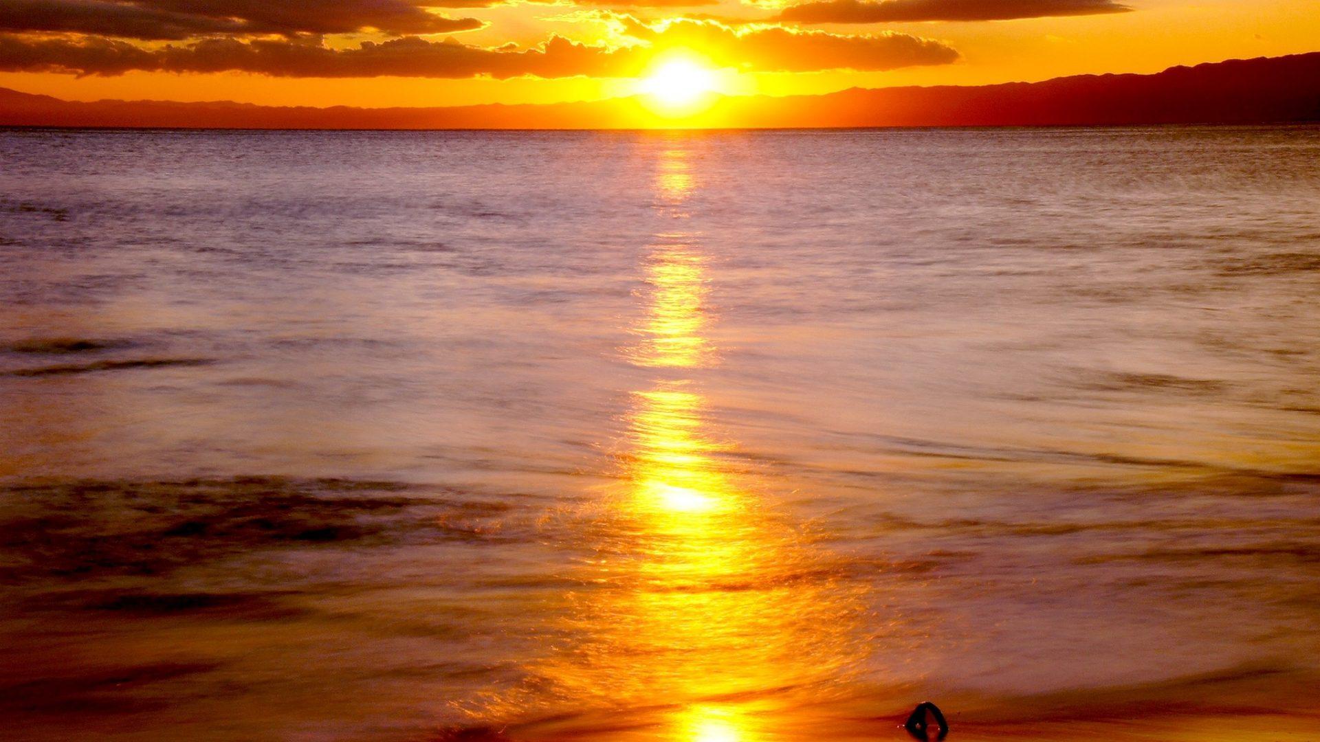 Wallpaper Predominant #eedd33 Color: Sea Nature Sunrise