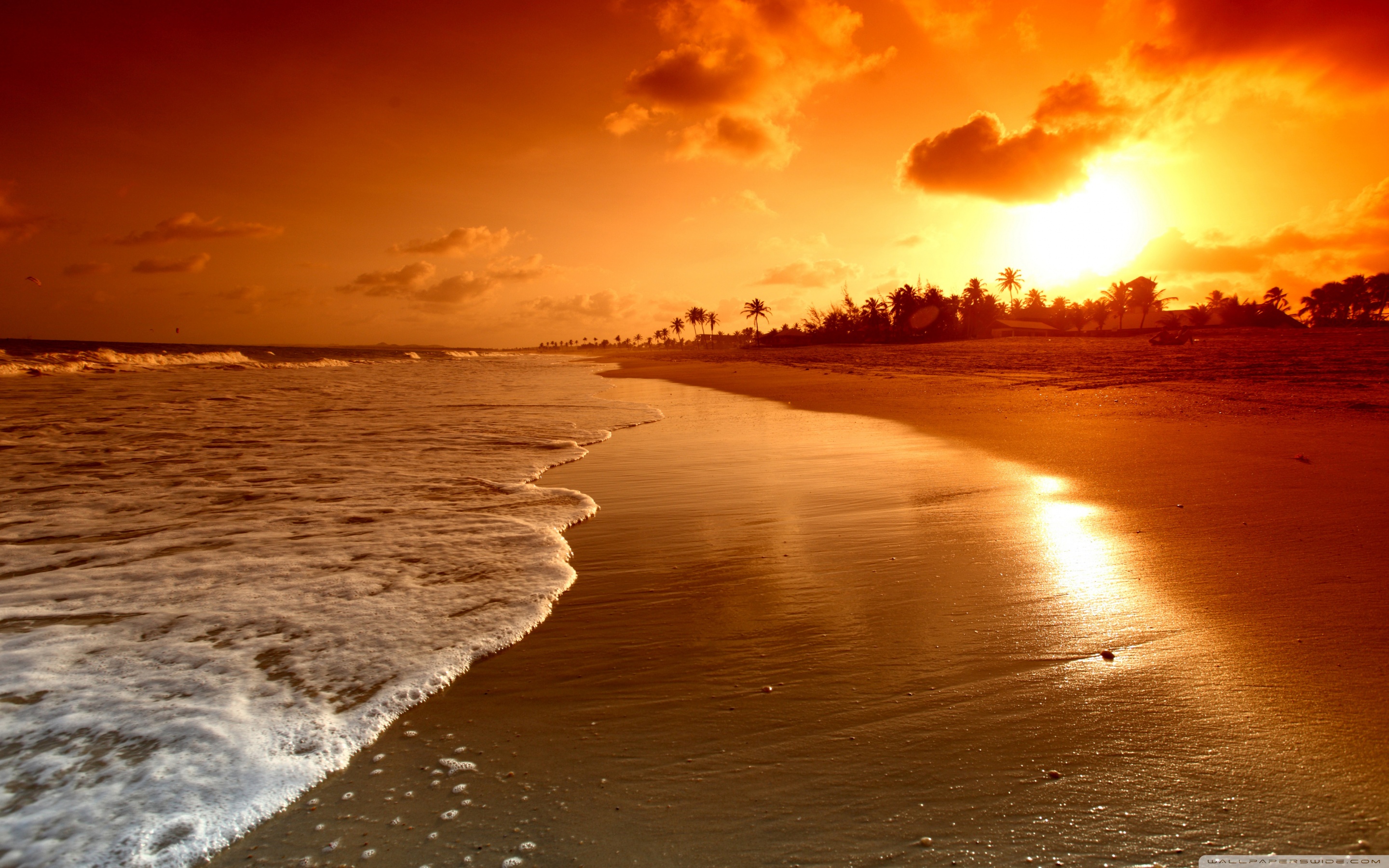 Beach sunrise wallpaper Gallery