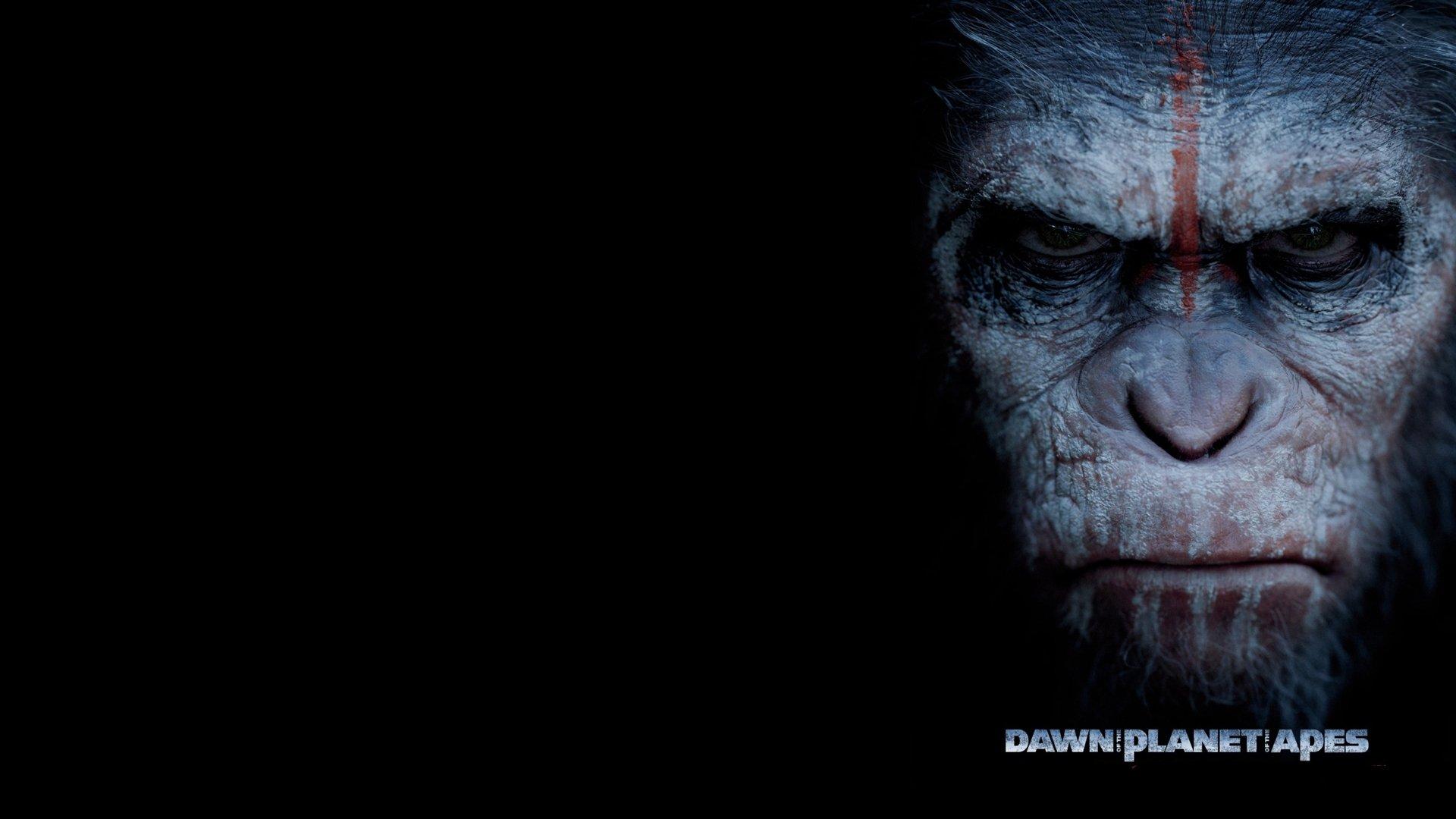 Dawn of the Planet of the Apes HD Wallpaper