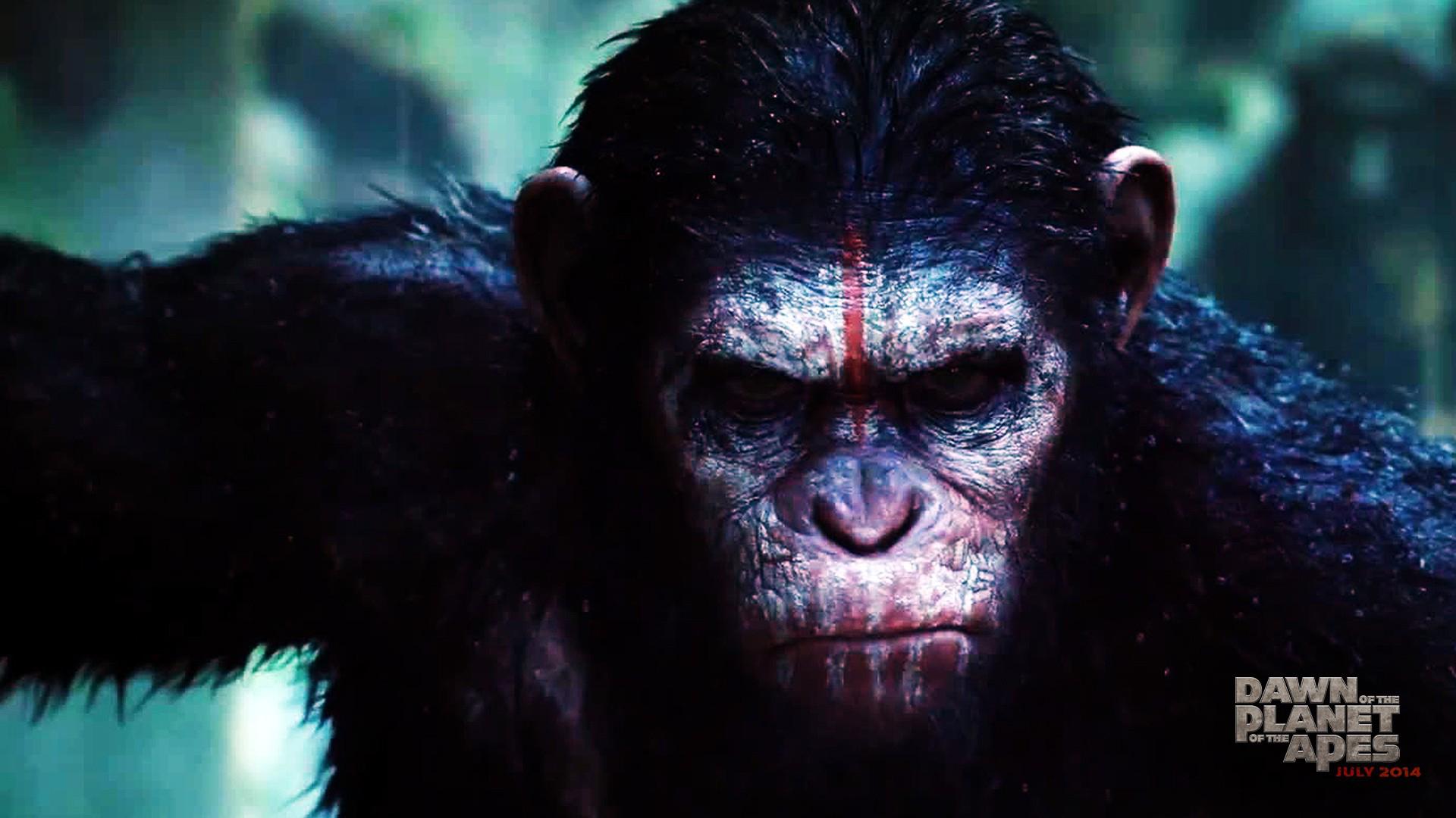 Dawn Of The Planet Of The Apes Logo HD Wallpaper, Background Image