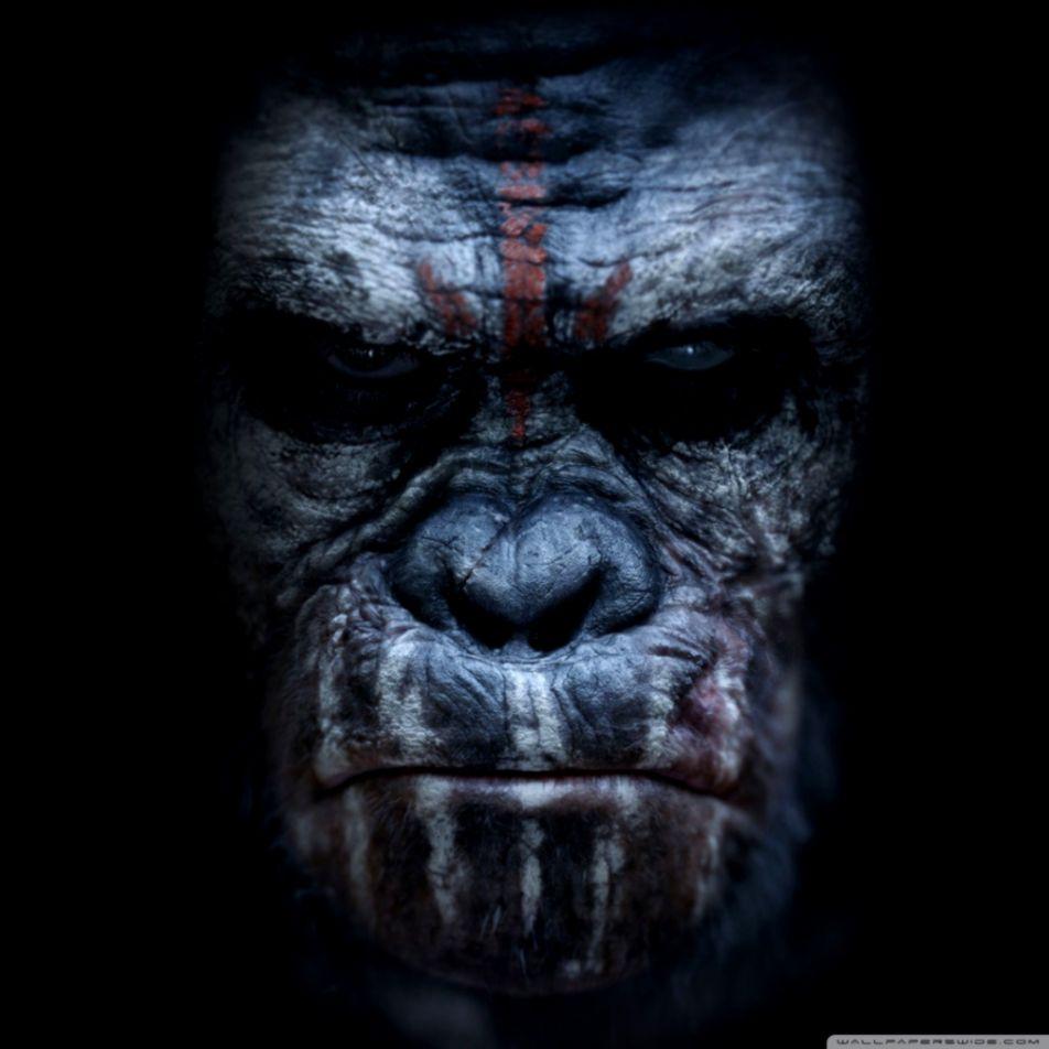 Dawn Of The Planet Of The Apes Wallpaper 1080P