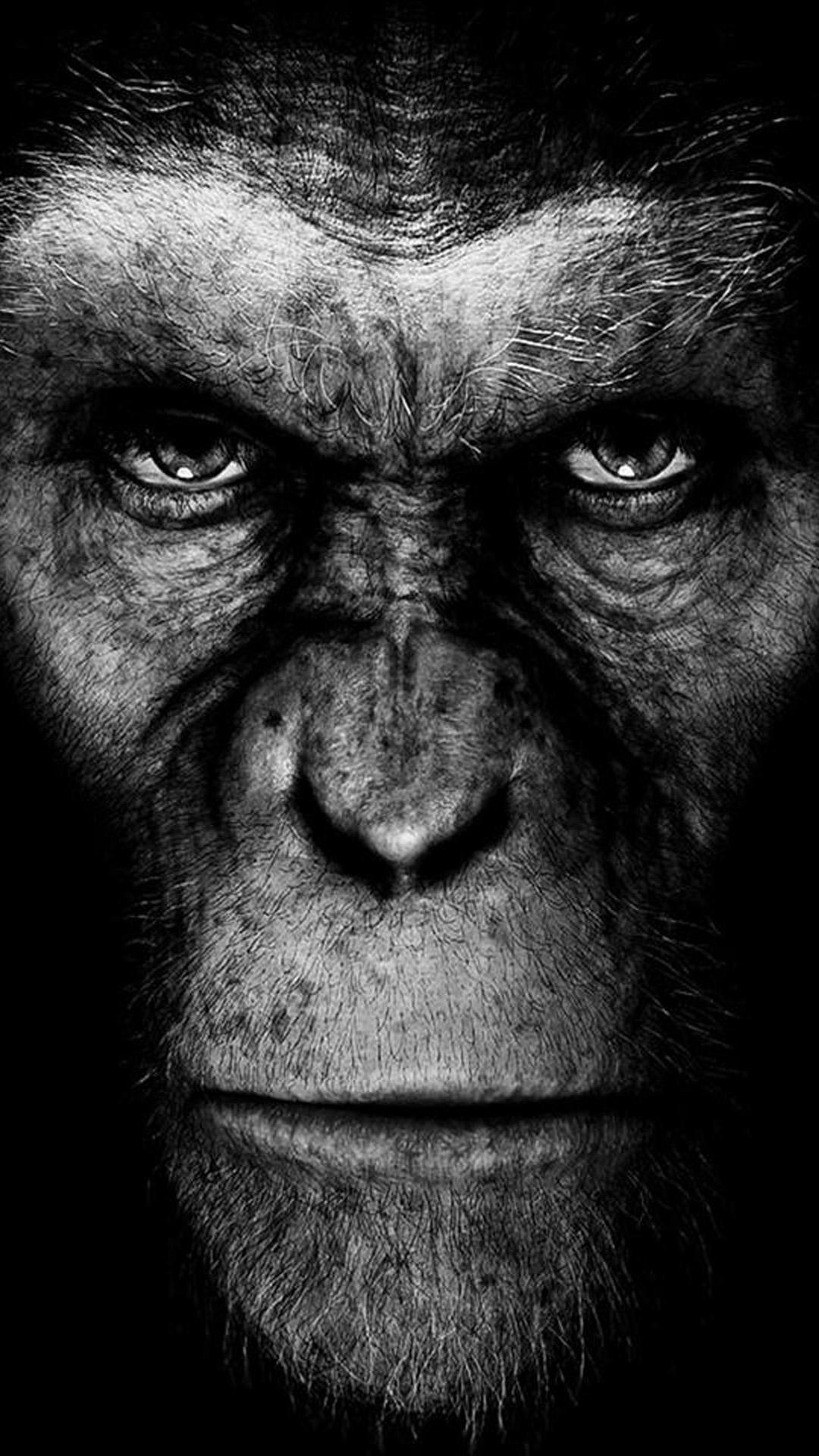 The Planet Of The Apes Wallpaper for Galaxy S5